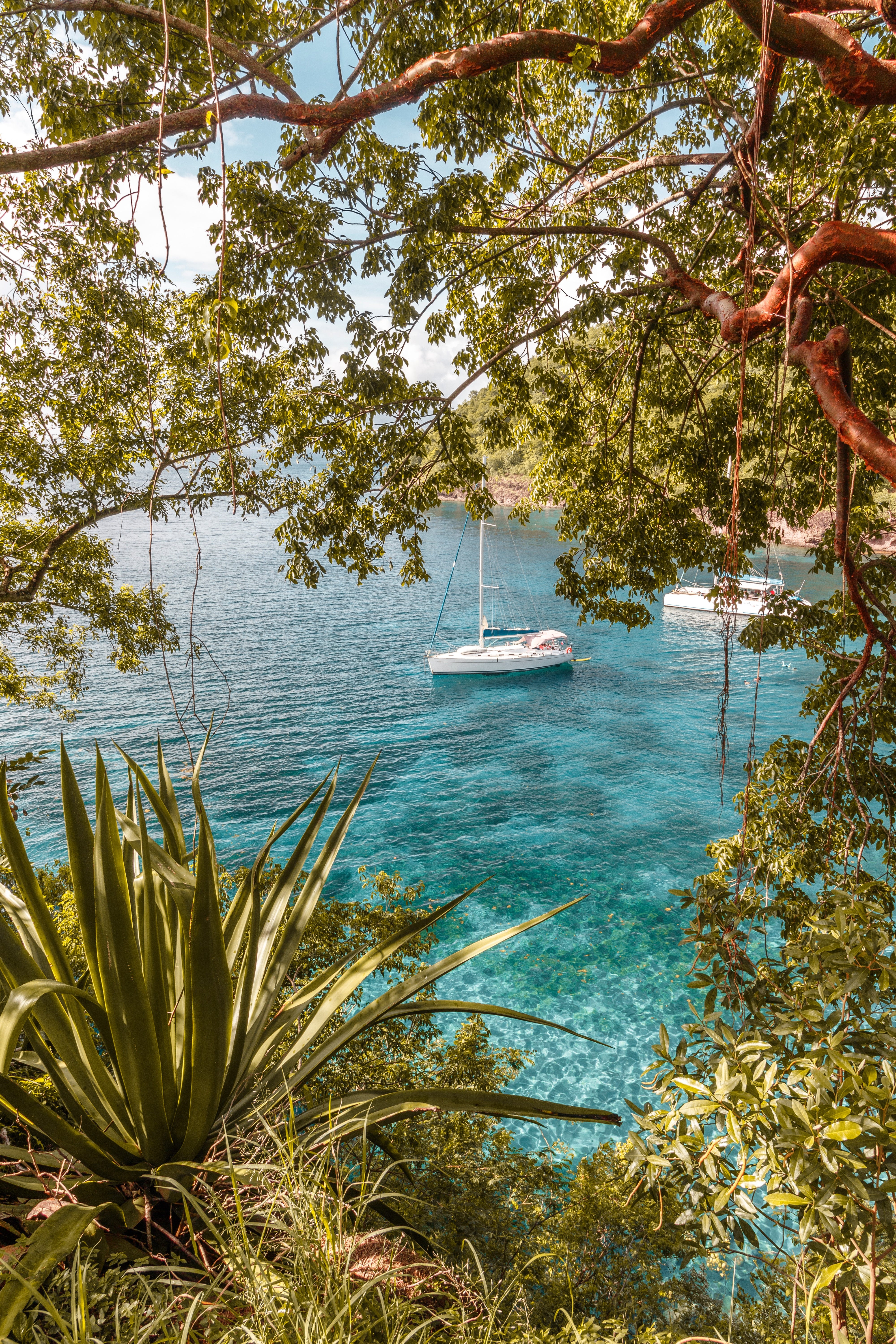 What To Do In Martinique A Guide To The French Caribbean Island By Jubel Jubel Co Medium