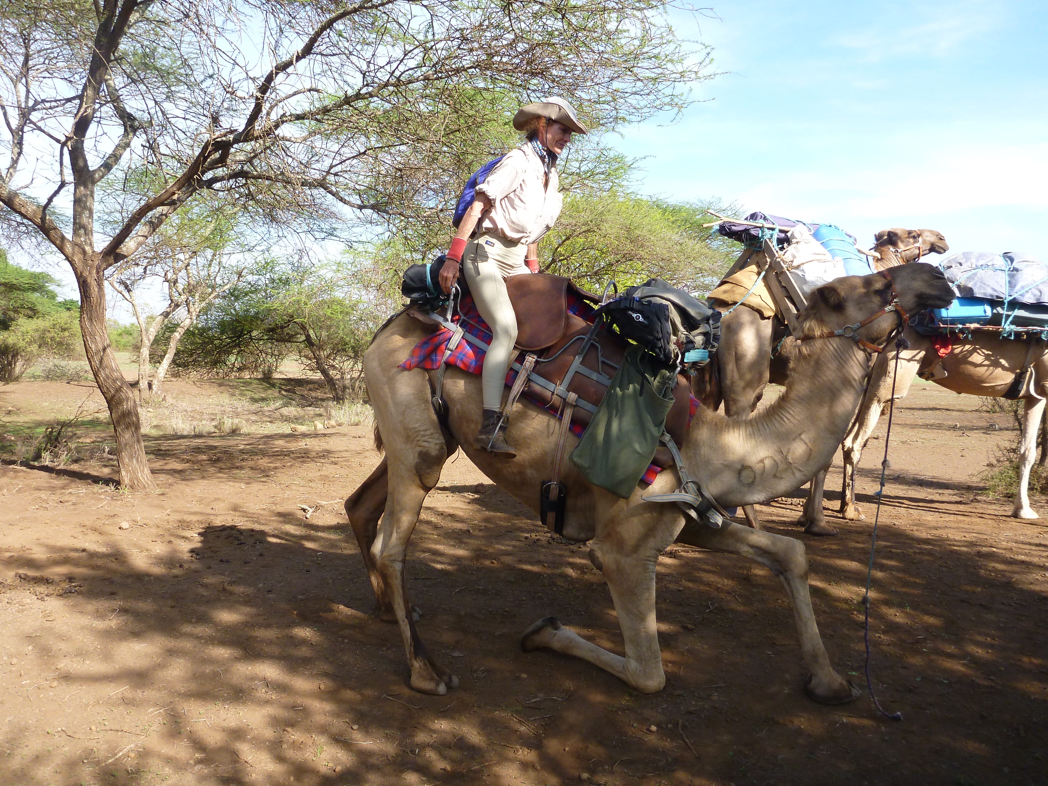 A Journey By Camel In Africa A Tale Of Spit Bad Breath And Camel Kisses By Julia E Hubbel Medium