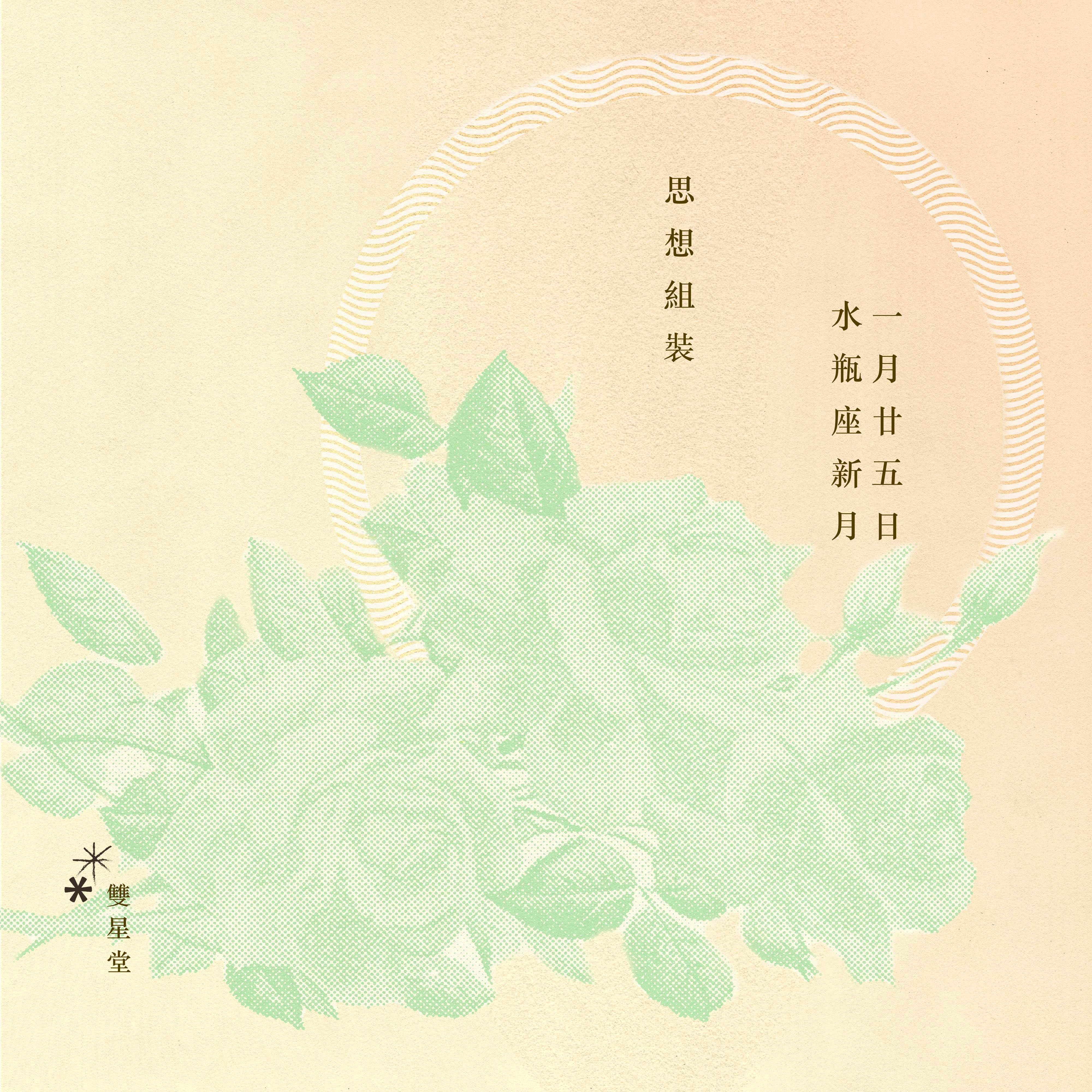 月 水瓶 座 新