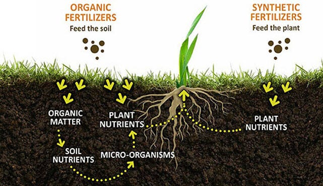 best lawn ?bio fertilizer