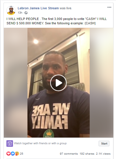 fake lebron
