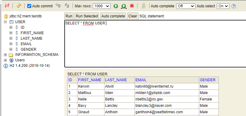 Configuring H2 database in Spring Boot | Programming Sharing | Programming  Sharing