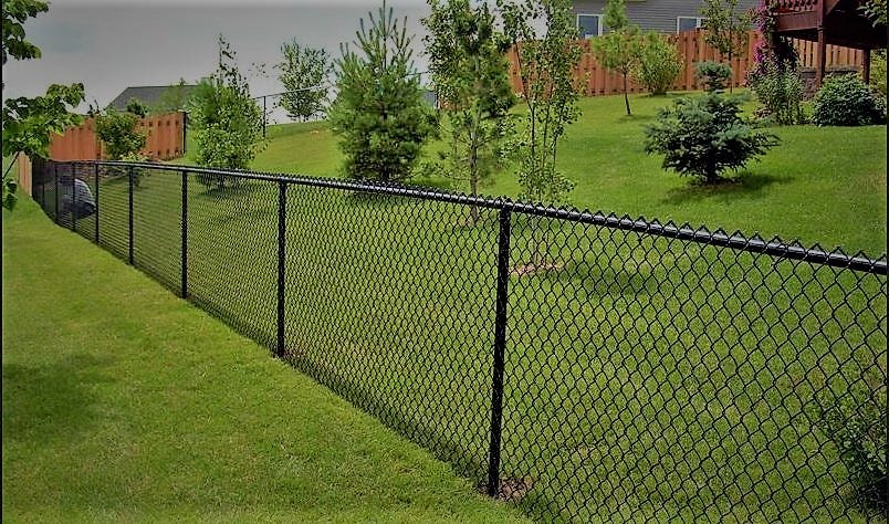 Why Is The Grass Always Greener On The Other Side Of The Fence