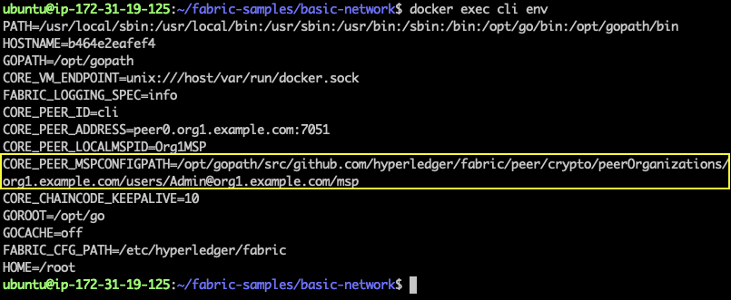 Introduction to Hyperledger Fabric Identity 5