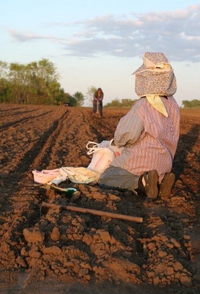 Born As A Gardener Always A Gardener Pasuaha Yang Medium