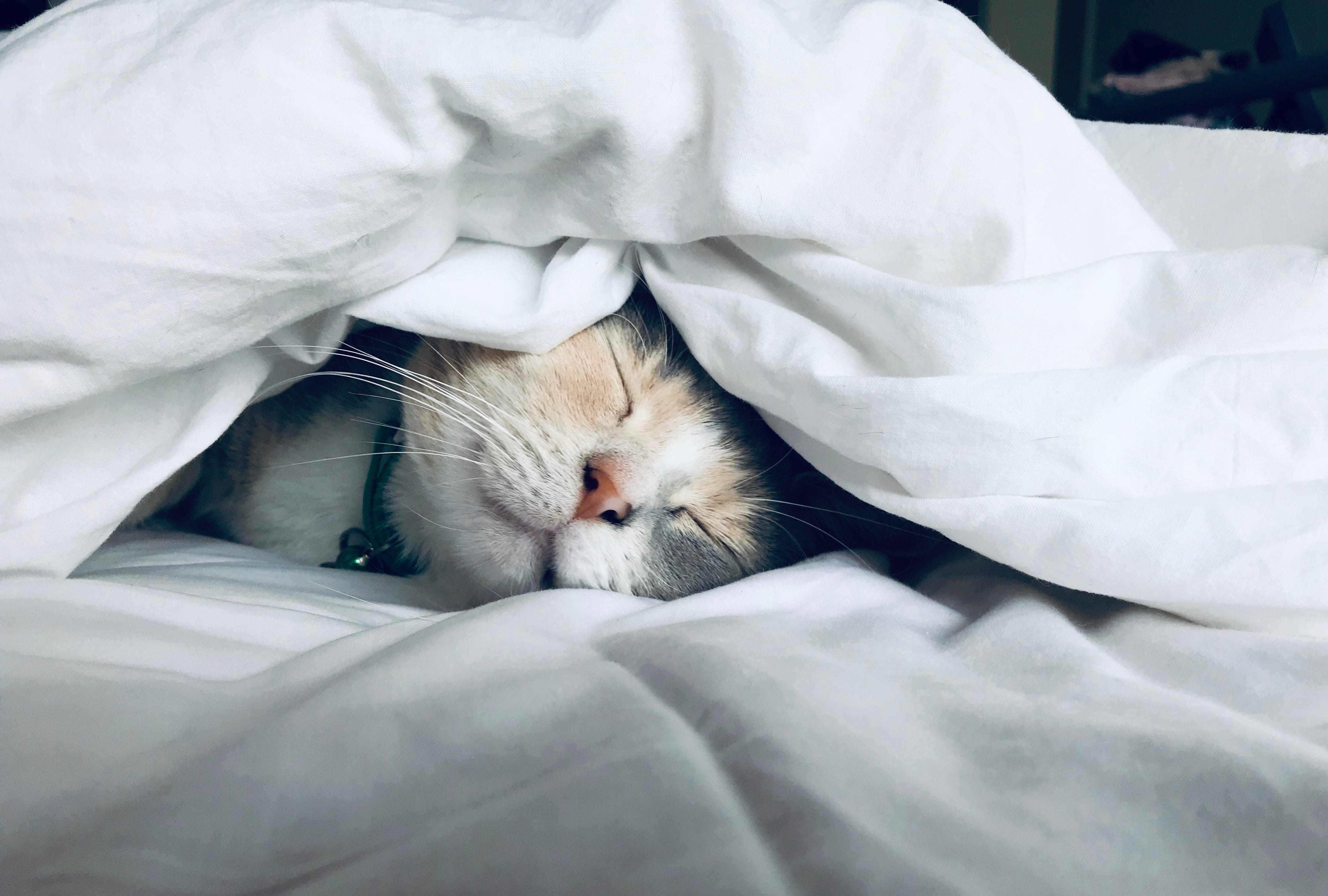How To Extend Your Life Through Sleep The Startup Medium