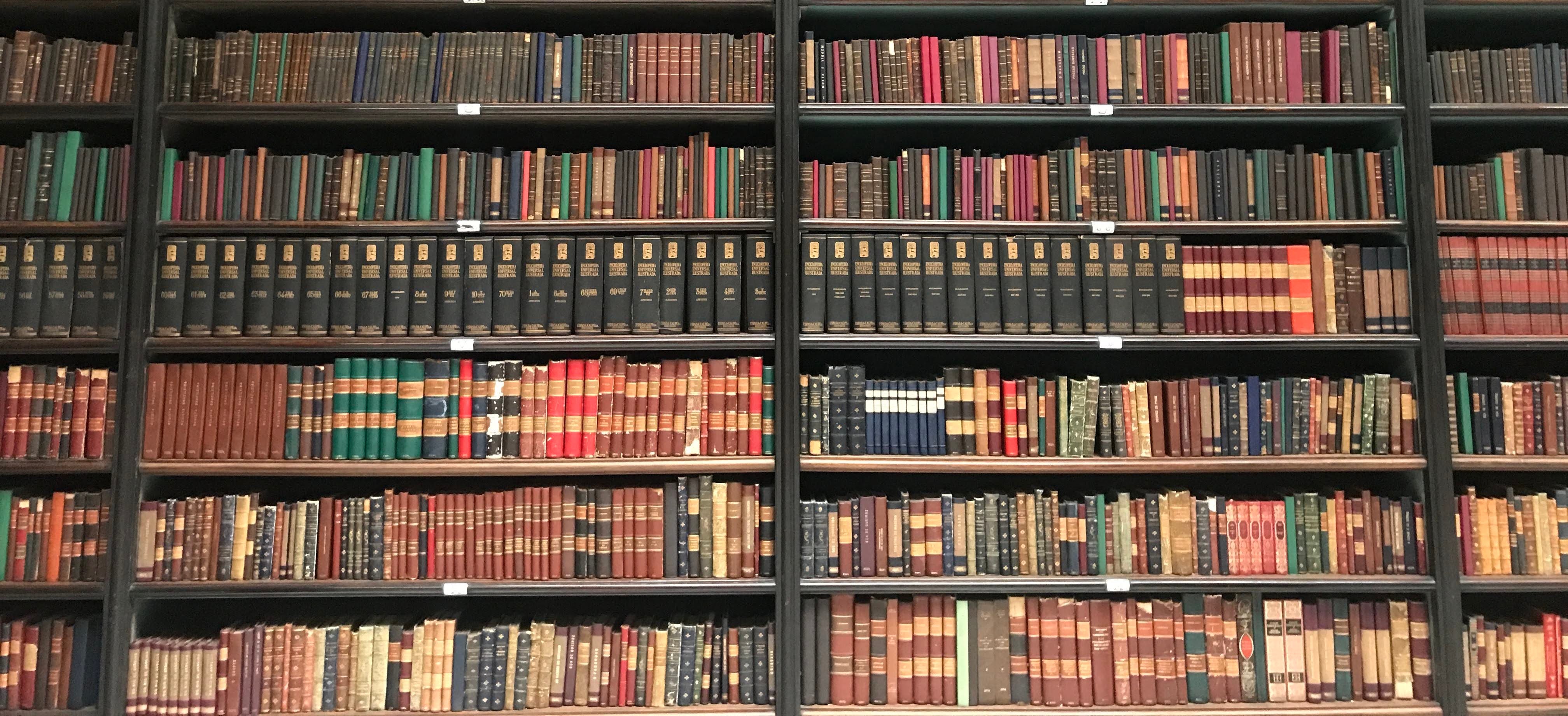 bookshelf zoom background bookshelf zoom background