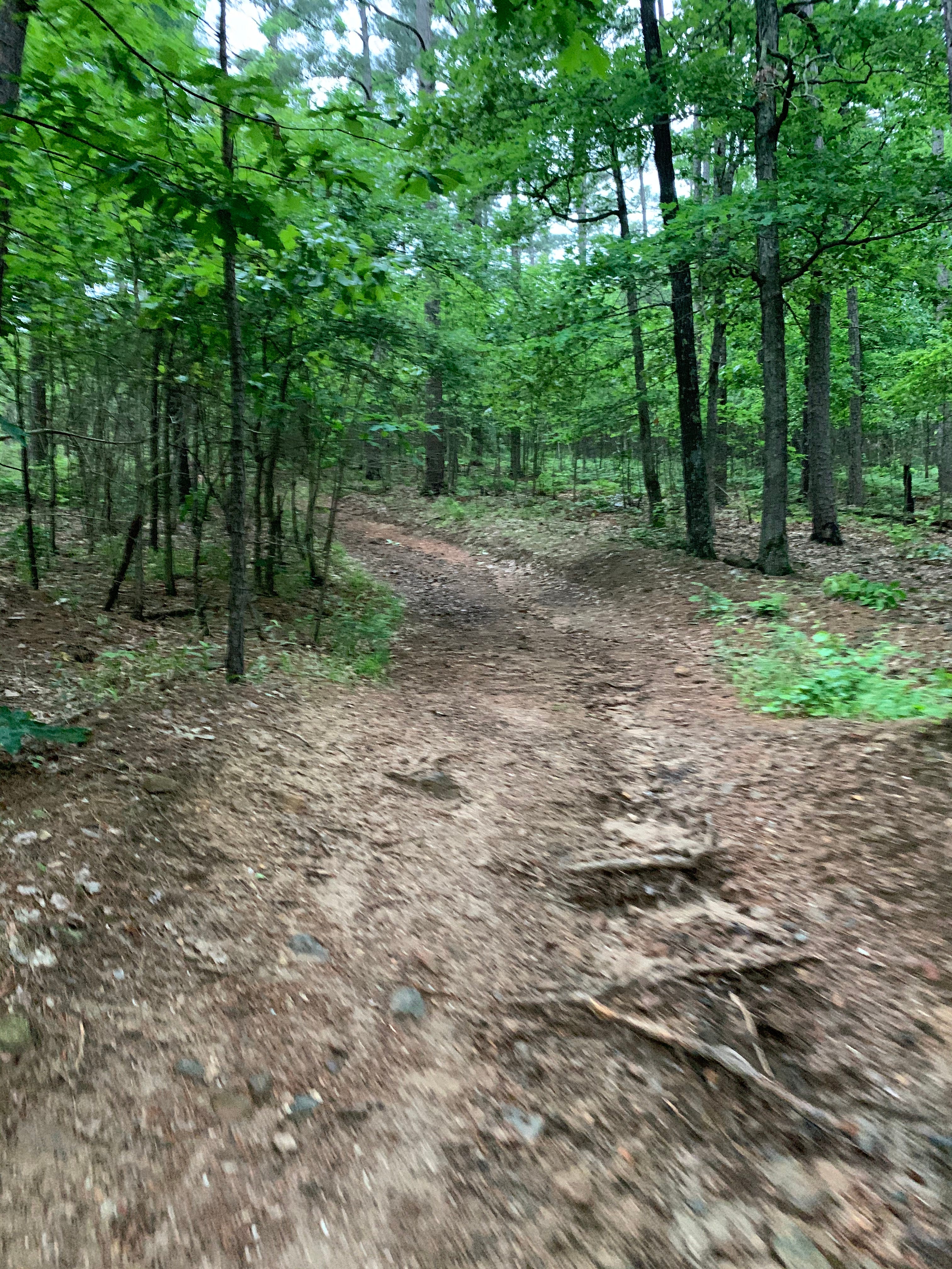 OUACHITA FOREST CRYSTAL Travelin’ Arkansan