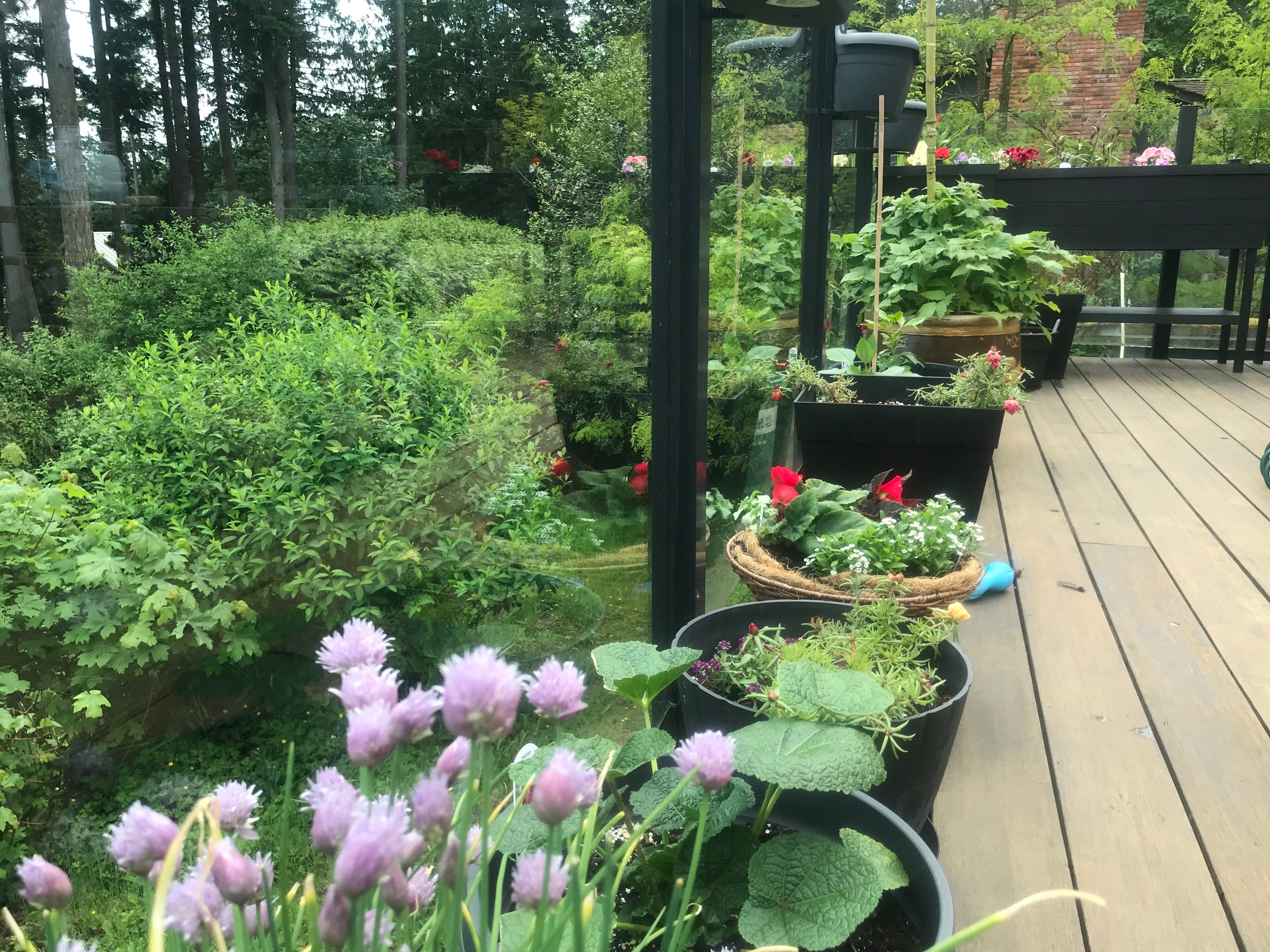 CBD for Allergies?. Does CBD have the same effect as… by Nikki Tate