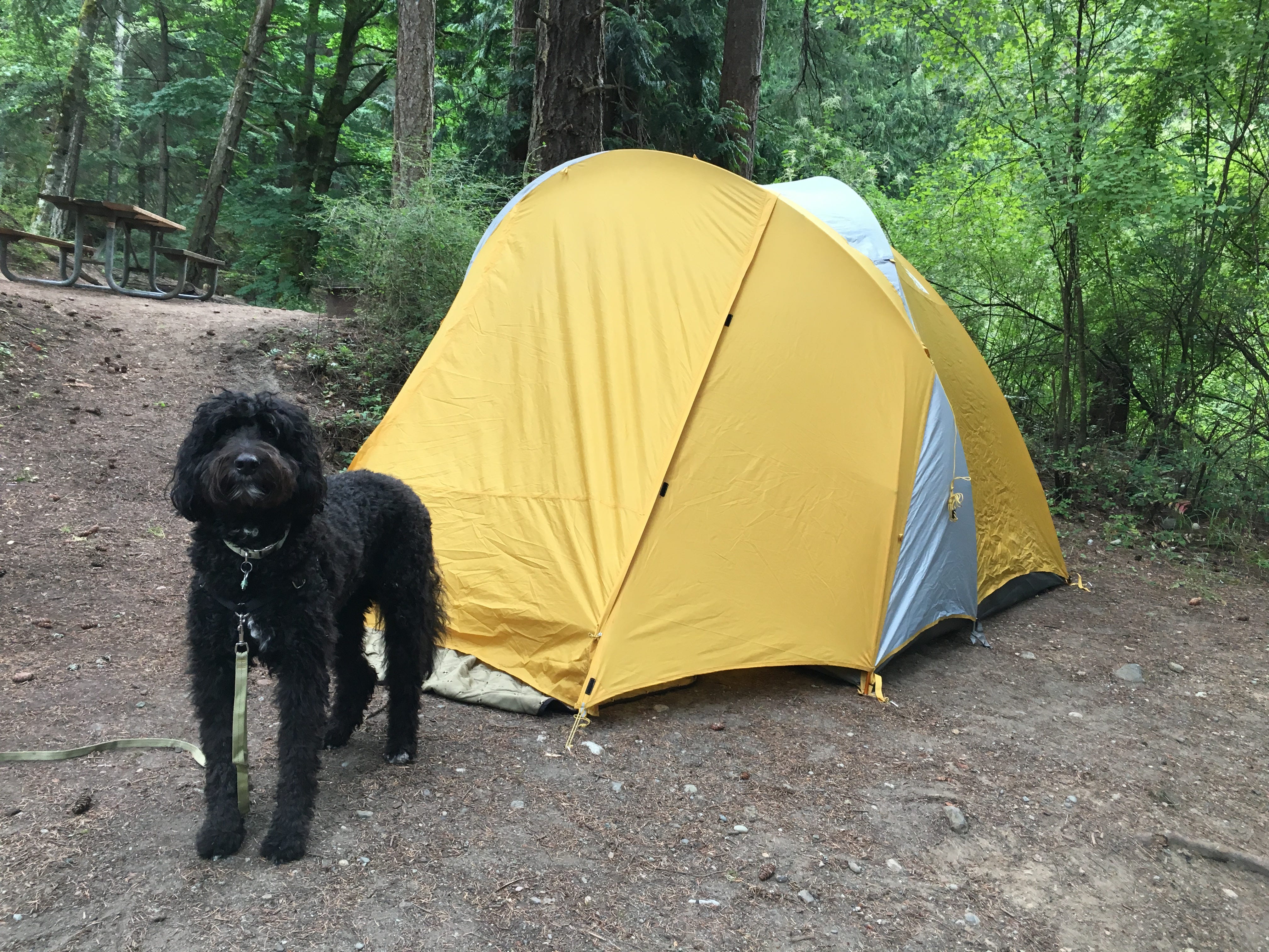 amazing wilderness camp cot