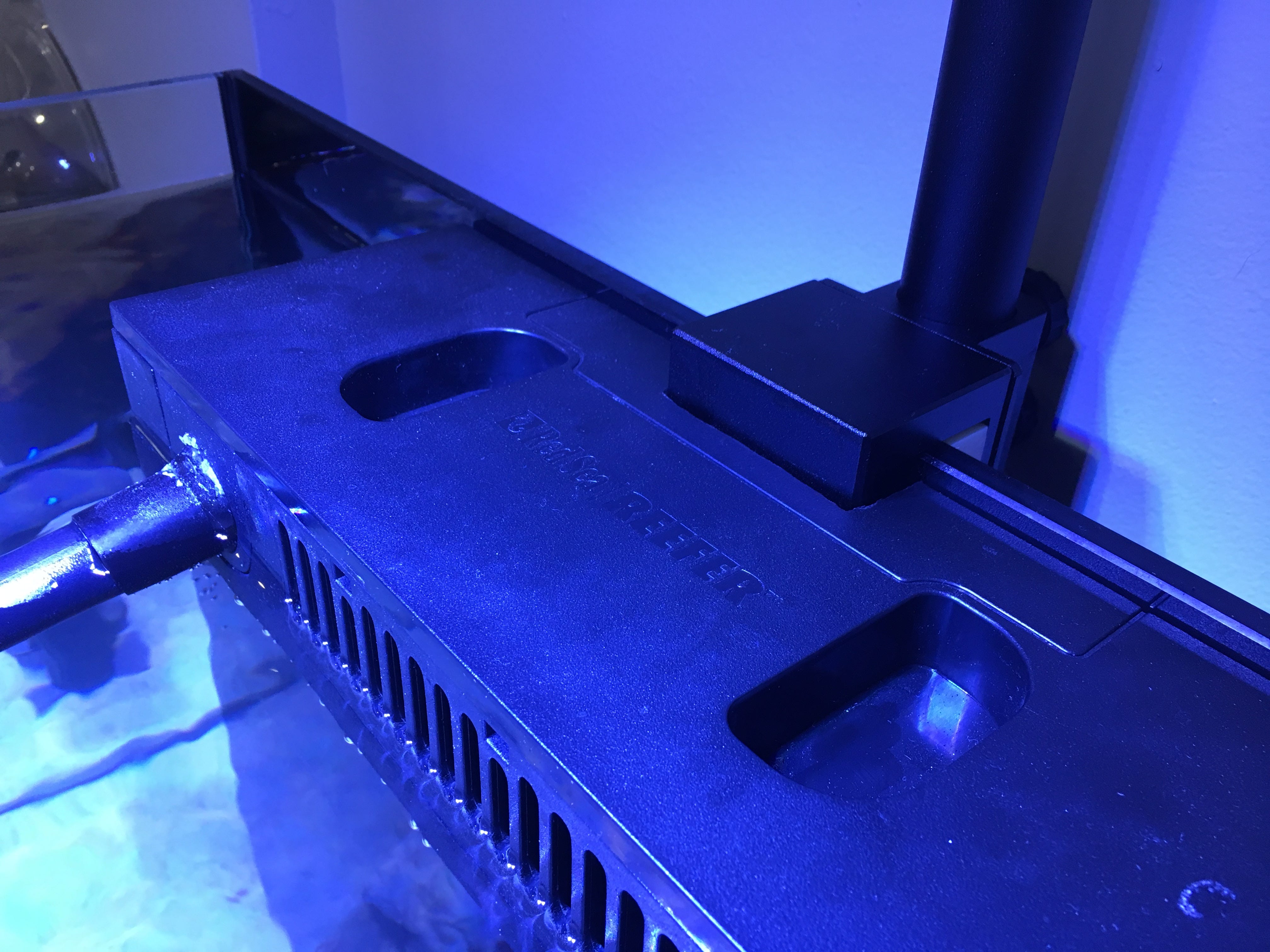 Our Beginner Reef Aquarium Build My Family And I Recently Started A New By Chris Whong Medium Our Beginner Reef Aquarium Build My Family And I Recently Started A New By Chris Whong Medium