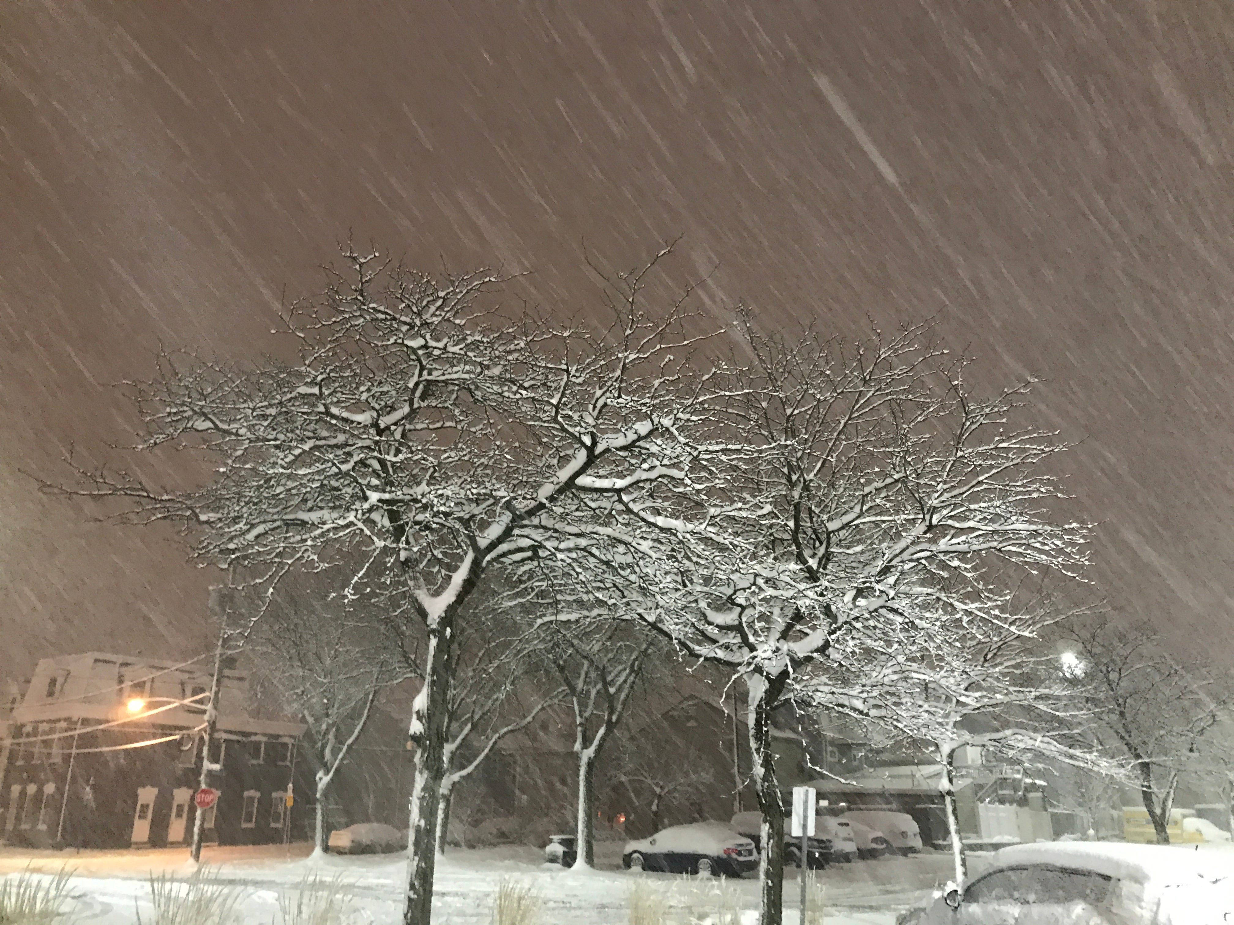 pix Heavy Snow Storm Night dark winter on this the longest night