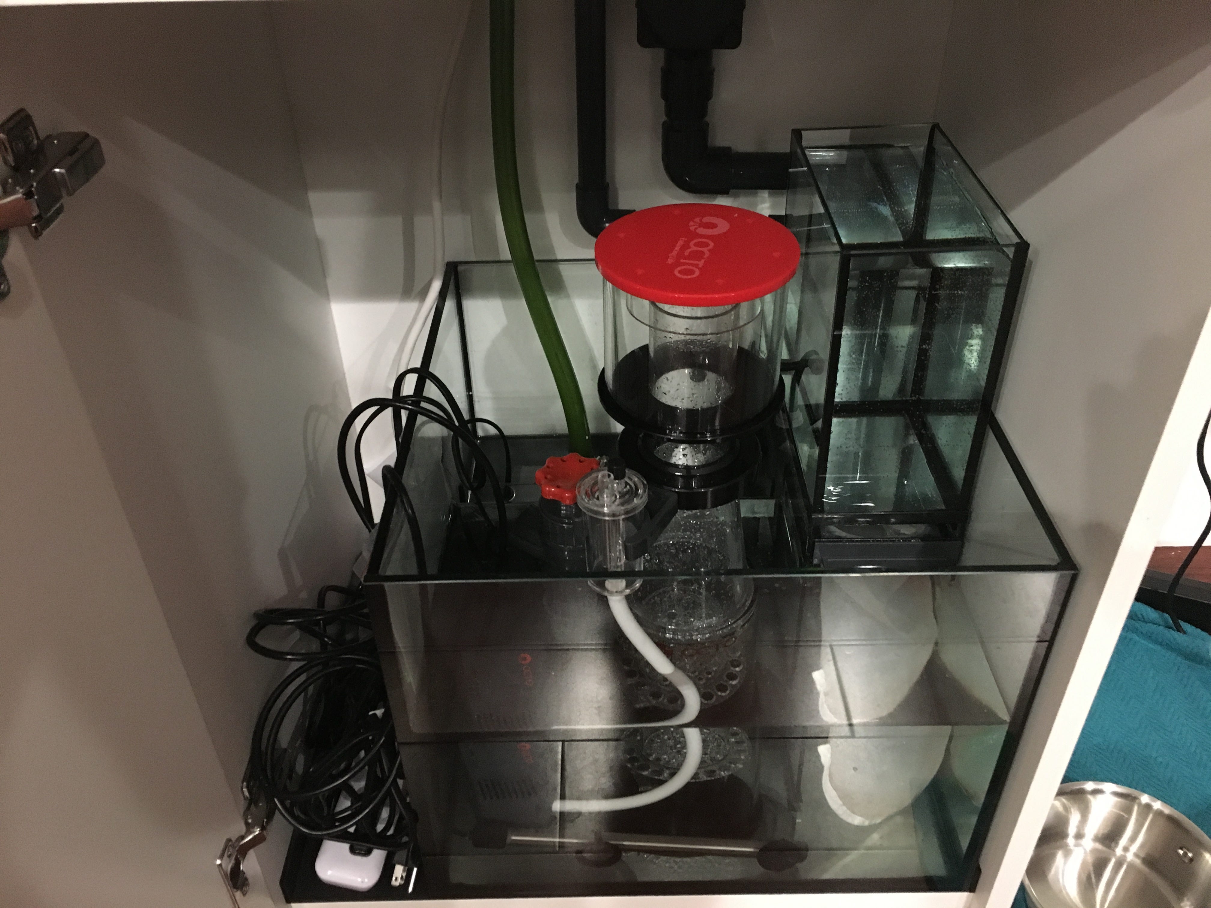 Our Beginner Reef Aquarium Build My Family And I Recently Started A New By Chris Whong Medium Our Beginner Reef Aquarium Build My Family And I Recently Started A New By Chris Whong Medium