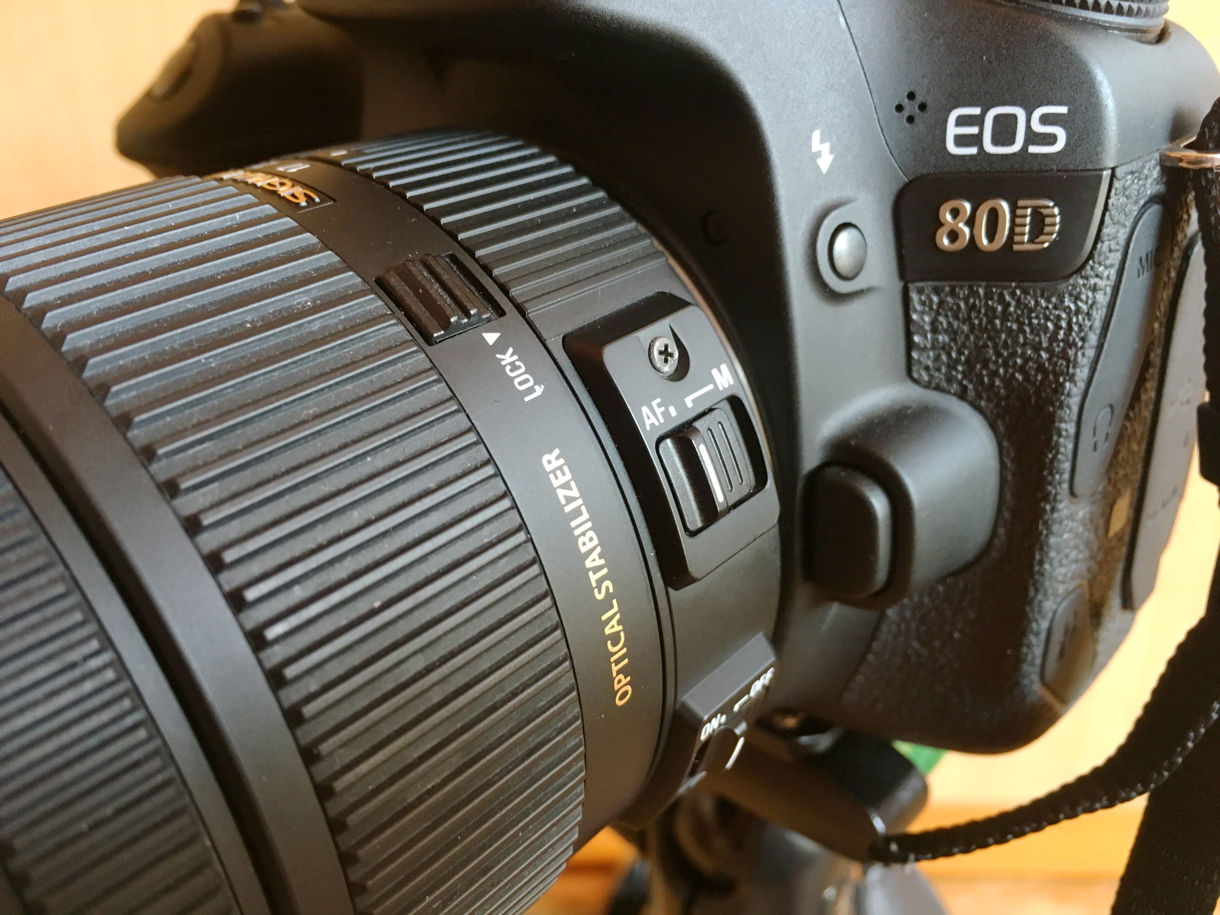1年使用レビュー Aps C一眼ユーザーは買って損なしの神標準ズーム Sigma 17 50mm F2 8 Ex Dc Os By 虎豆しば2号 Medium 1年使用レビュー Aps C一眼ユーザーは買って損なしの神標準ズーム Sigma 17 50mm F2 8 Ex Dc Os By 虎豆しば2号 Medium