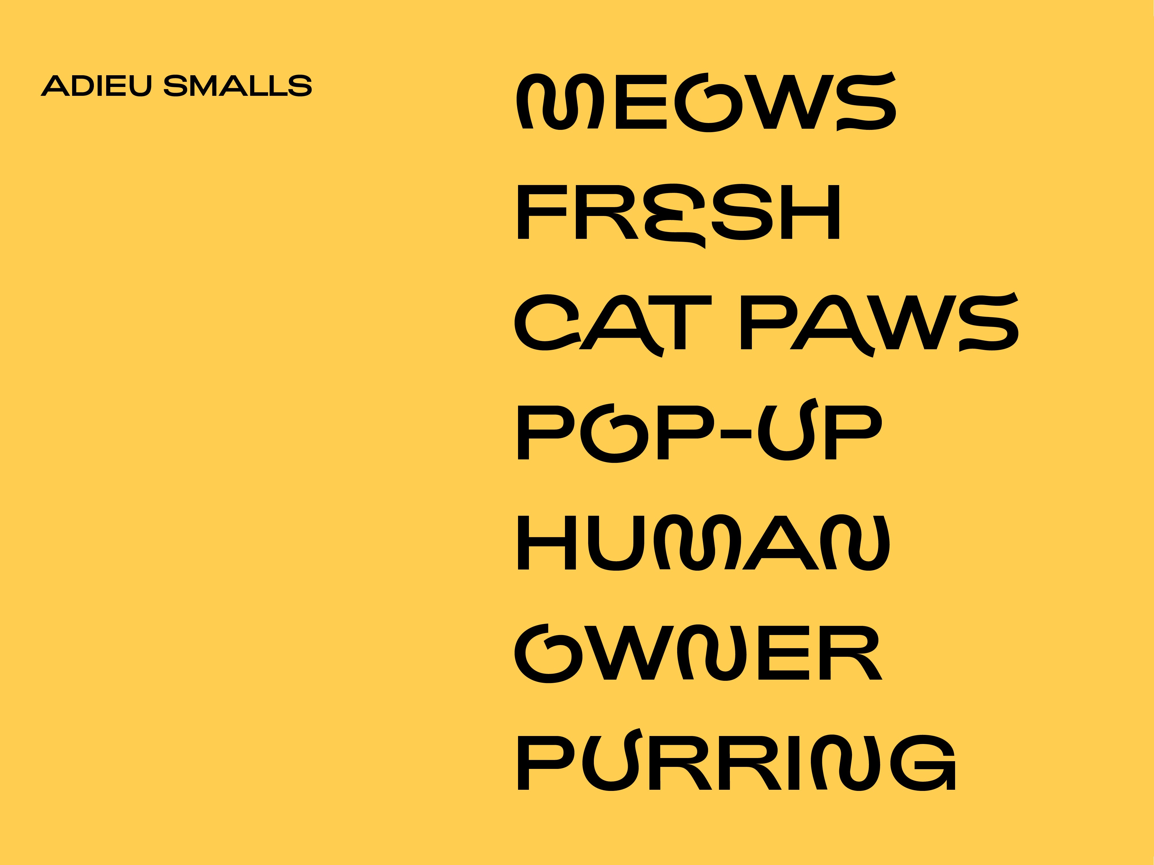 Exploring Visual Brand Identity What Does A “Cat Person” Look Like?