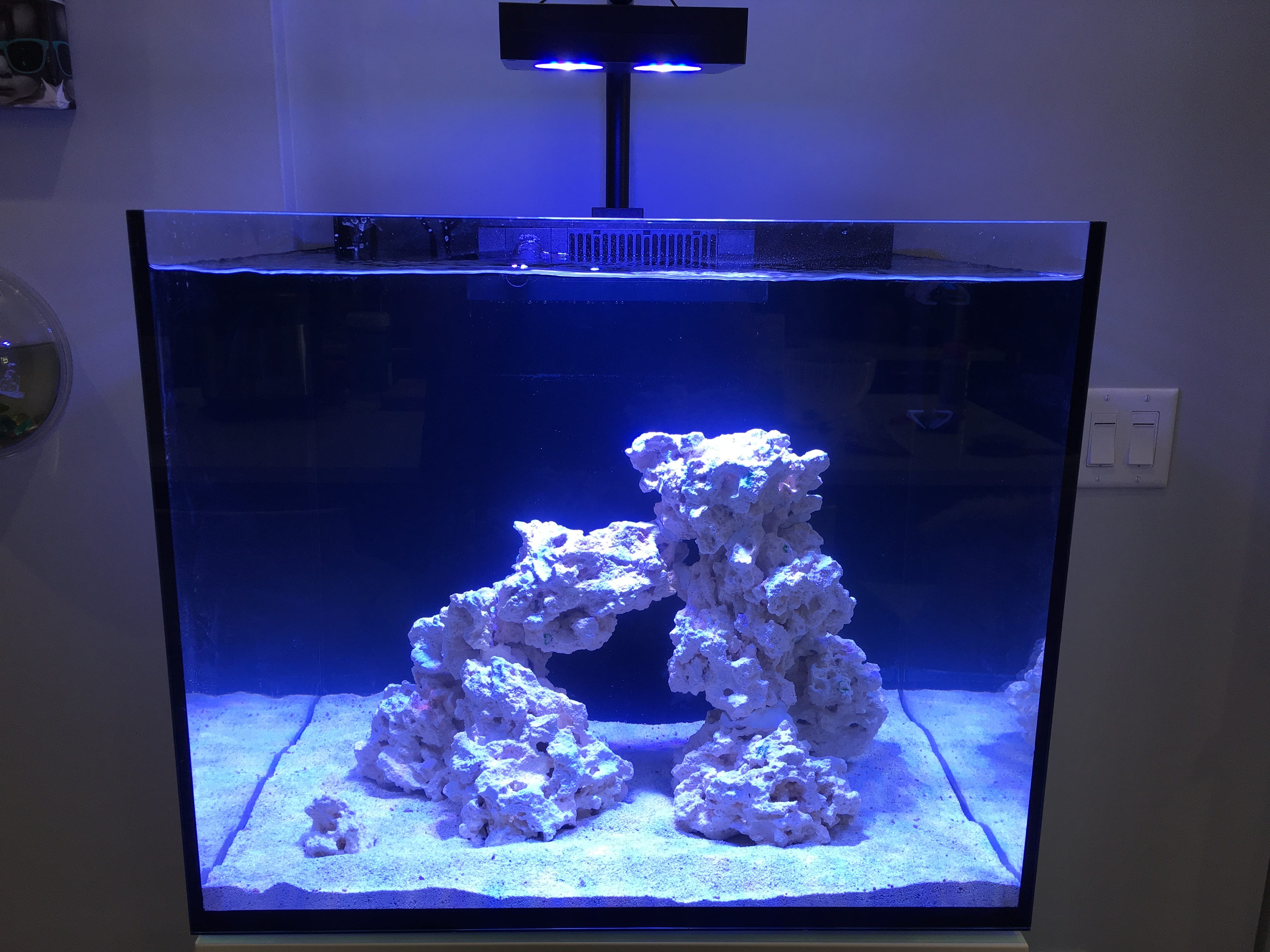 Our Beginner Reef Aquarium Build My Family And I Recently Started A New By Chris Whong Medium