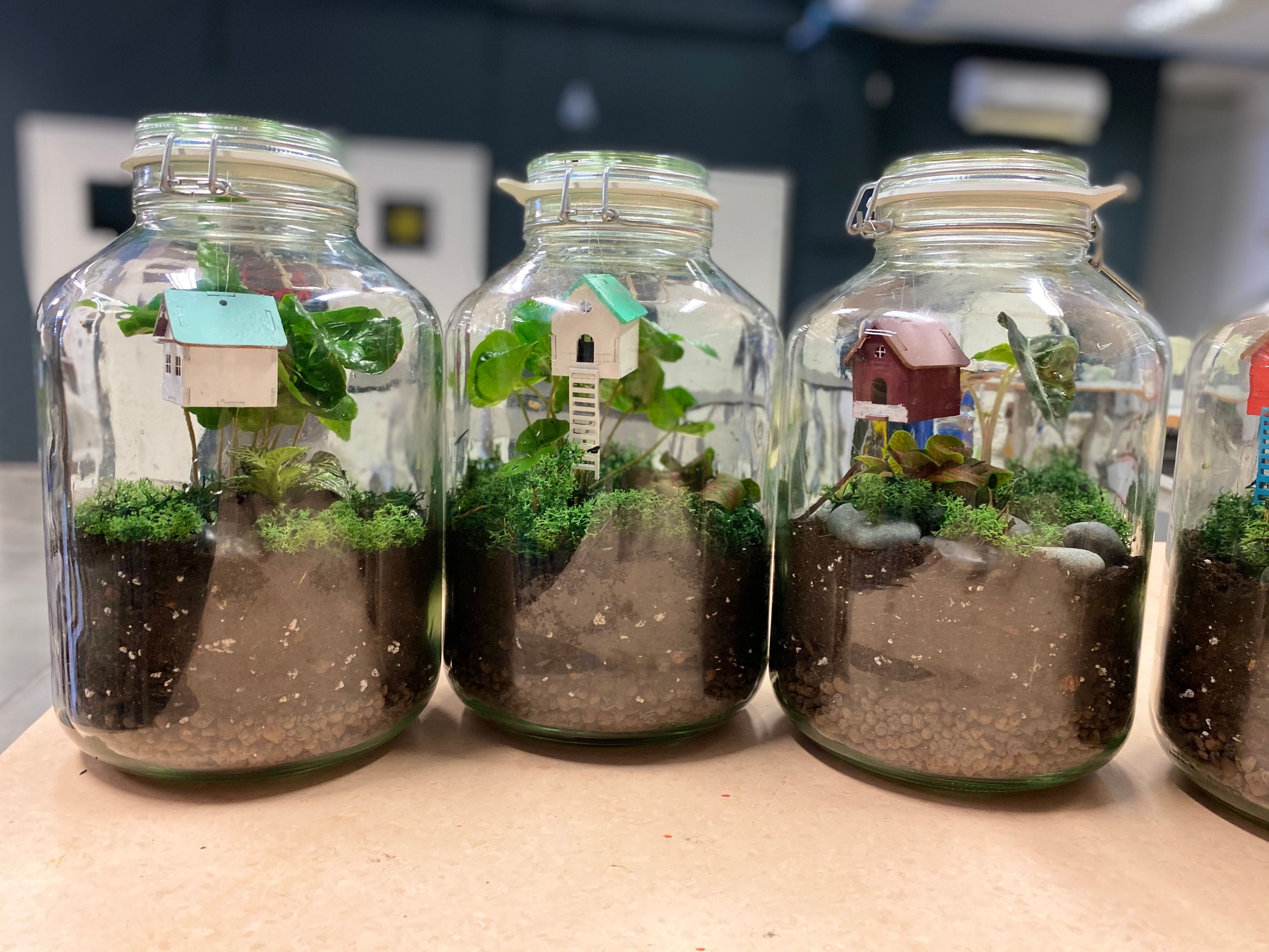 Self-Sustaining Ecosystem in a Jar | by VIVITA Estonia / VIVISTOP  Telliskivi | Medium