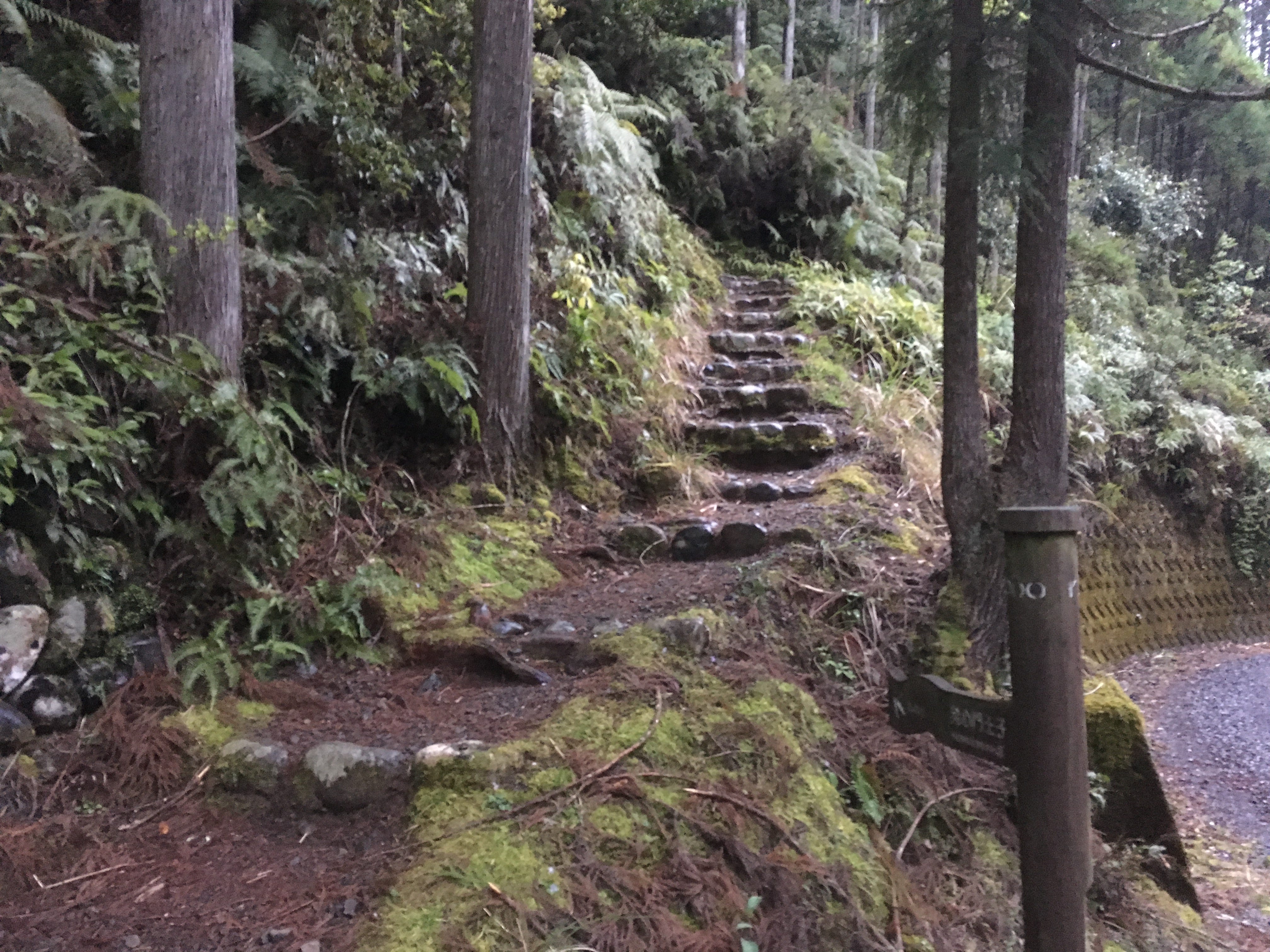 幽歩突破 自然のエロスと出逢うという意味においては 深山幽谷を歩くことはほとんど瞑想状態に By Kyosuke Kuwahara Organic Way Of Life Medium