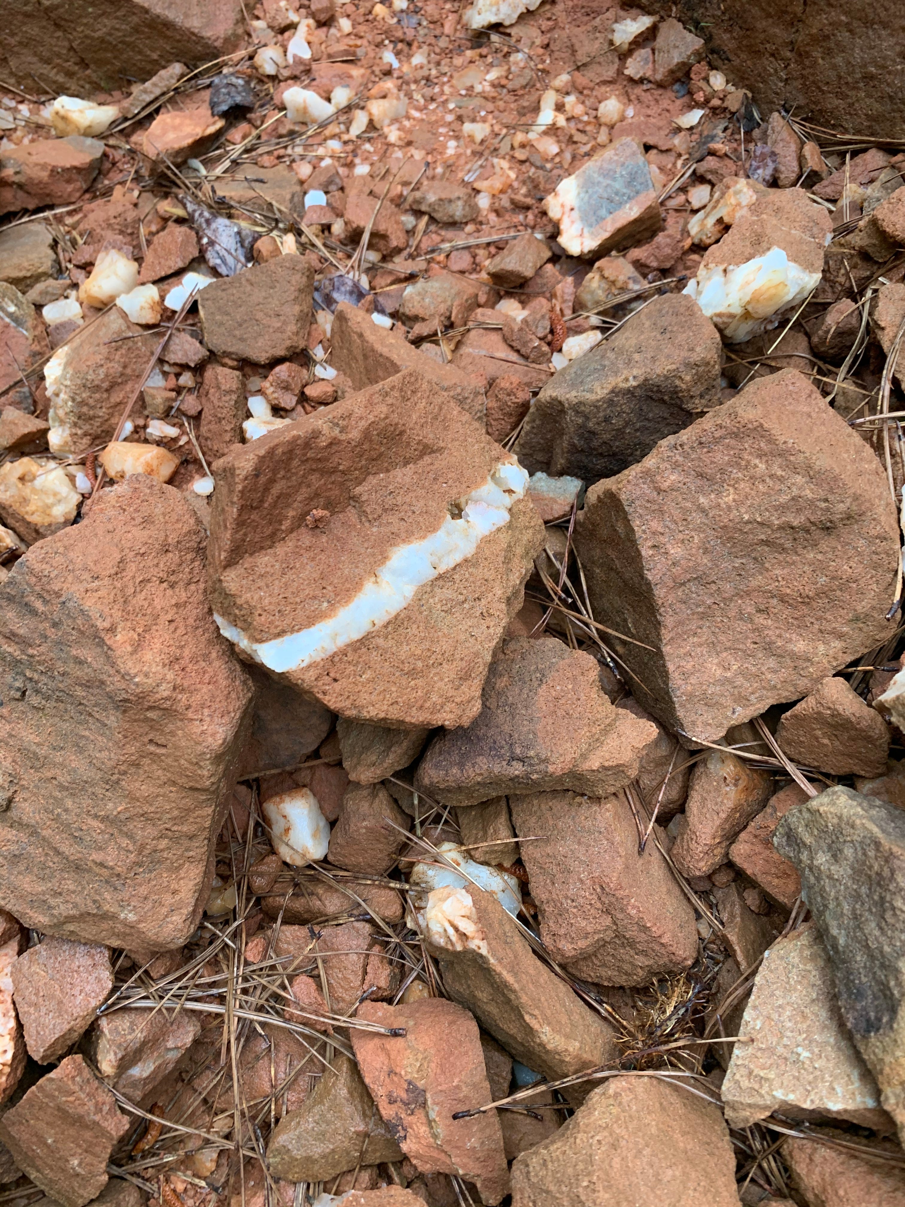 OUACHITA FOREST CRYSTAL Travelin’ Arkansan