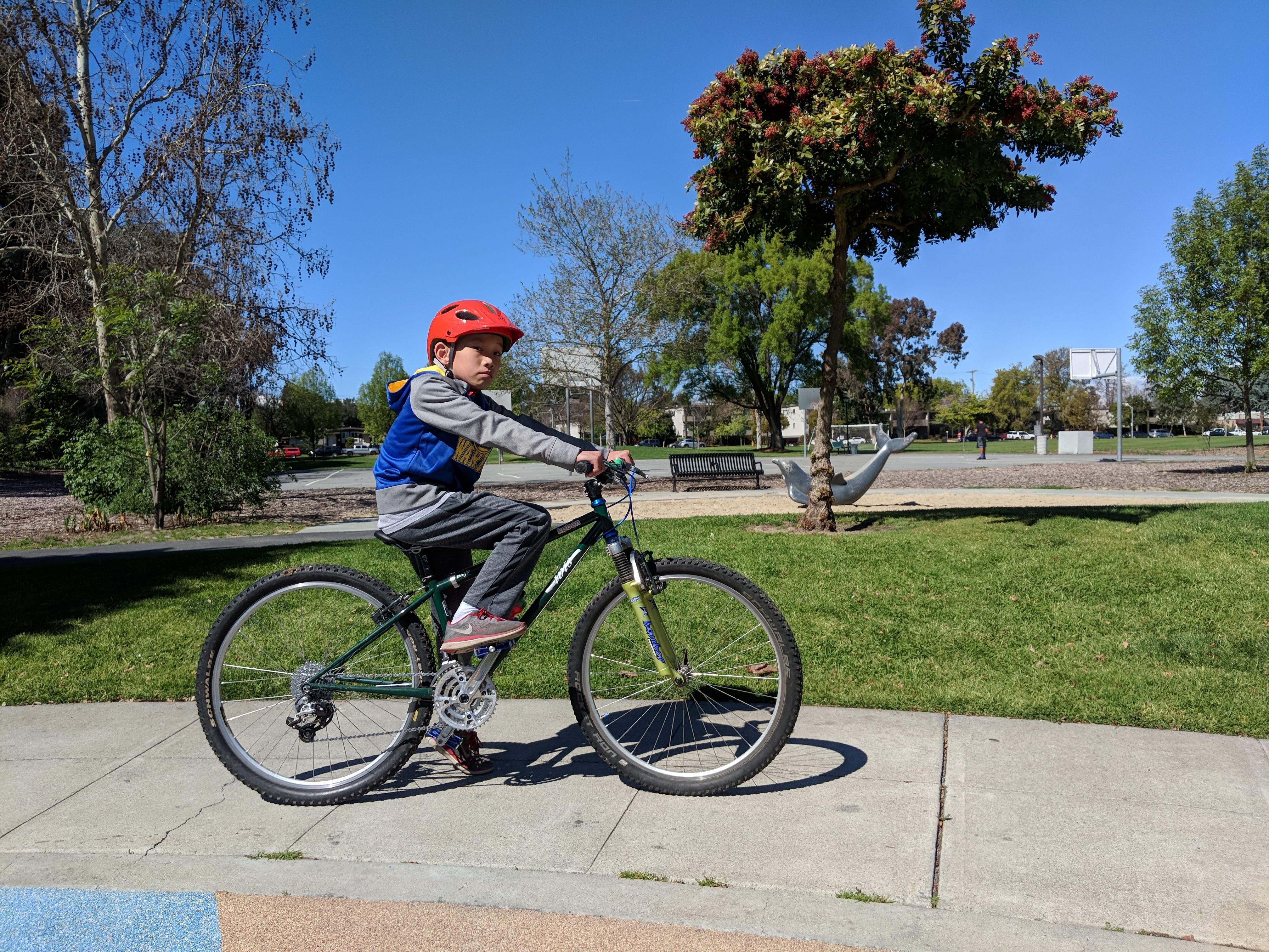 ibis ripmo craigslist