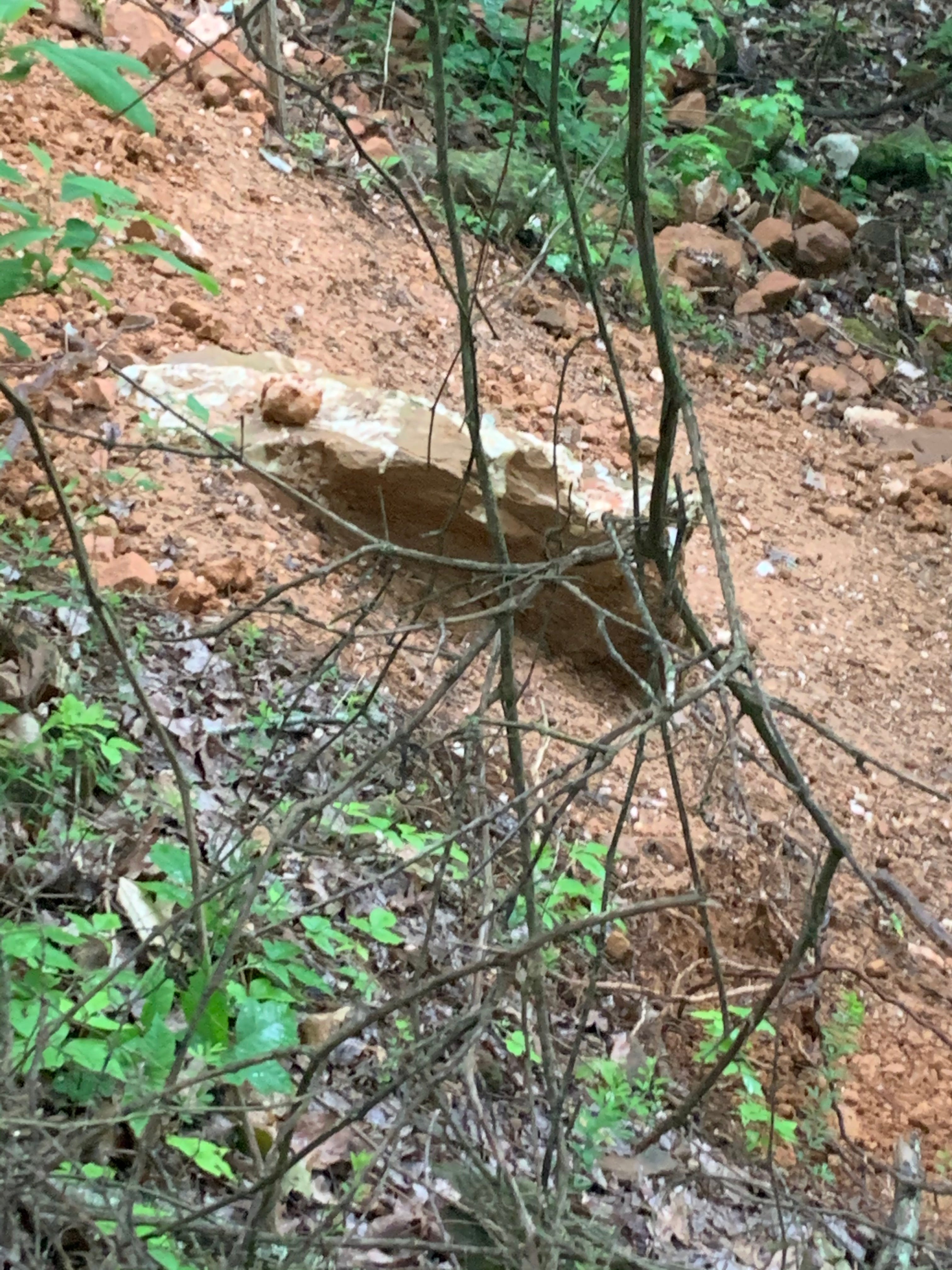 OUACHITA FOREST CRYSTAL Travelin’ Arkansan