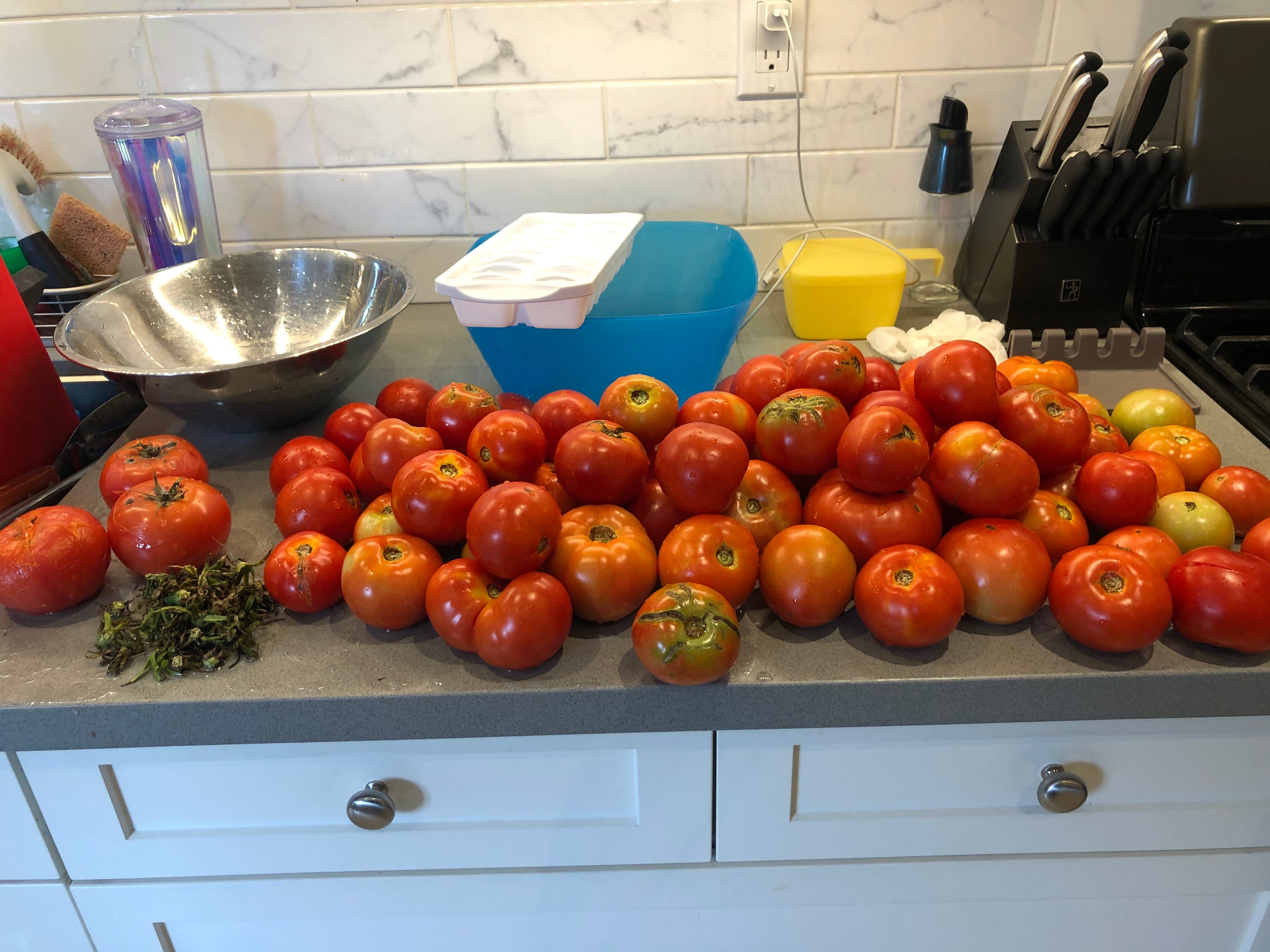 From Seed To Sauce Kitchen Alchemy By Stephen Reza The Cookbook For All Medium From Seed To Sauce Kitchen Alchemy By Stephen Reza The Cookbook For All Medium