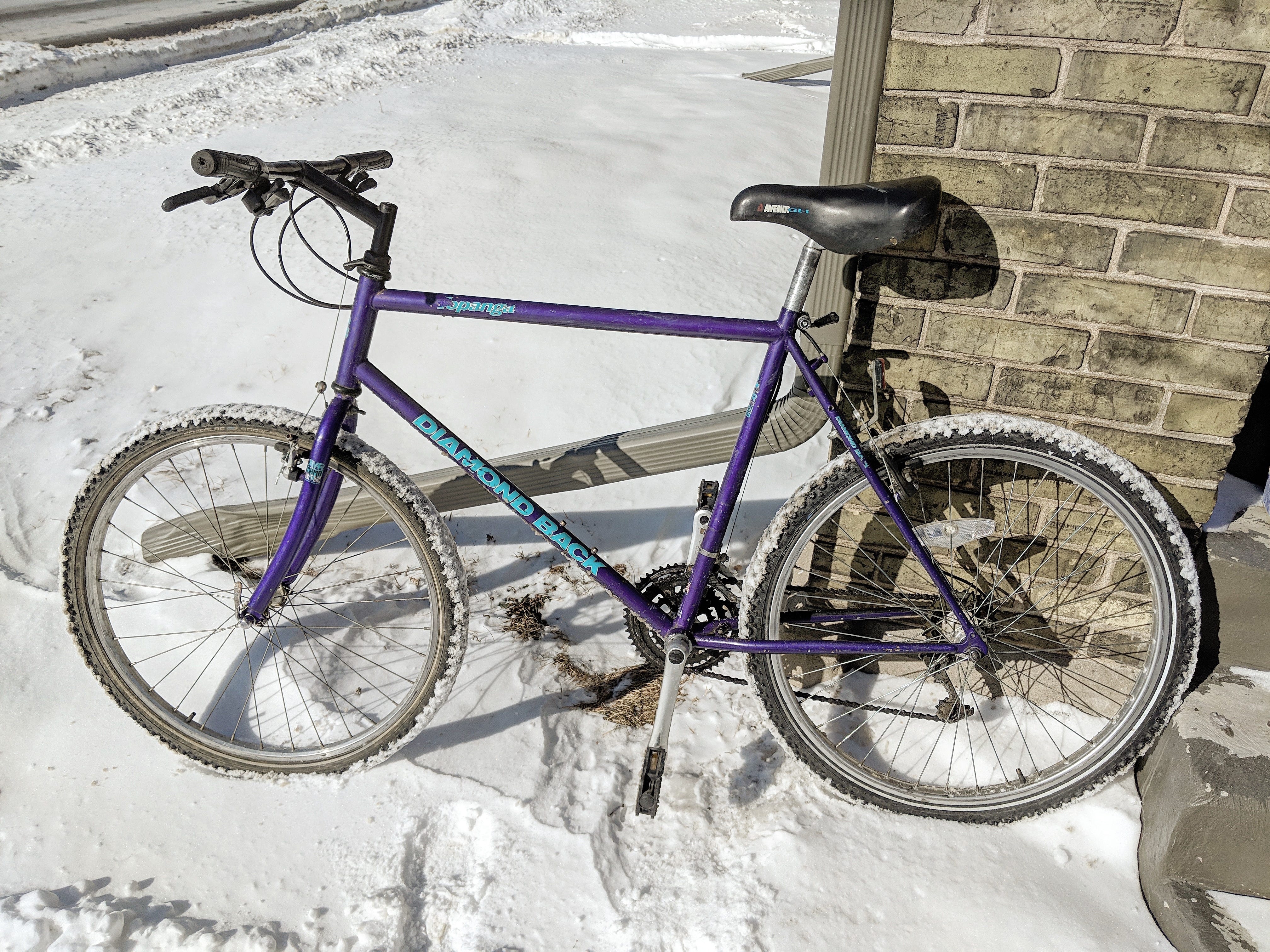 cheap winter bike