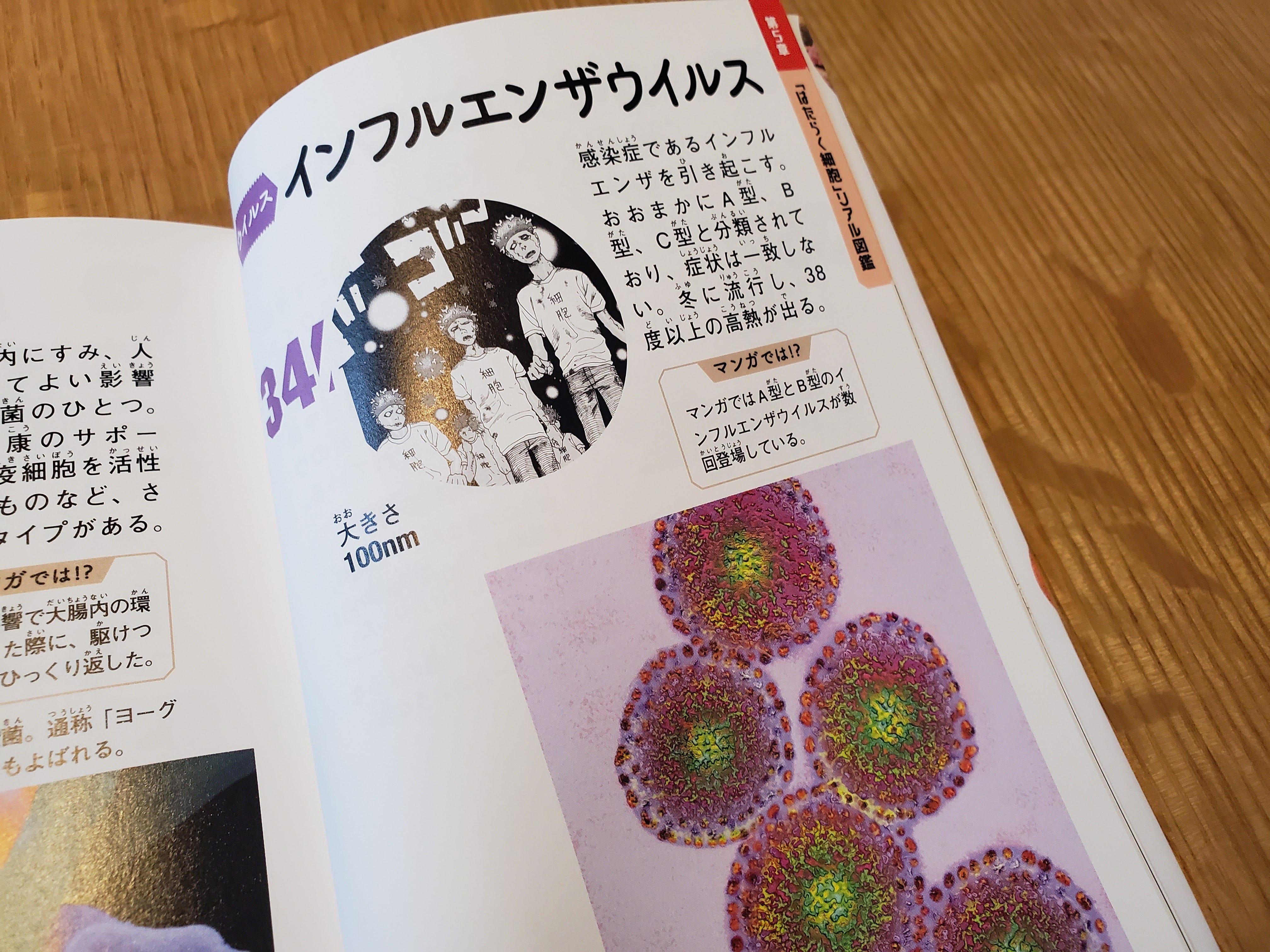 コロナウイルス対策として 今読んでおくべき感染症と免疫に関する本6選 186冊目 187冊目 1冊目 1冊目 190冊目 191冊目 1000冊紹介する By いしたにまさき シン みたいもん コロナウイルス対策として 今読んでおくべき感染症と免疫に関する本6選 186冊目 187冊目 1冊目 1冊目 190冊目 191冊目 1000冊紹介する By いしたにまさき シン みたいもん