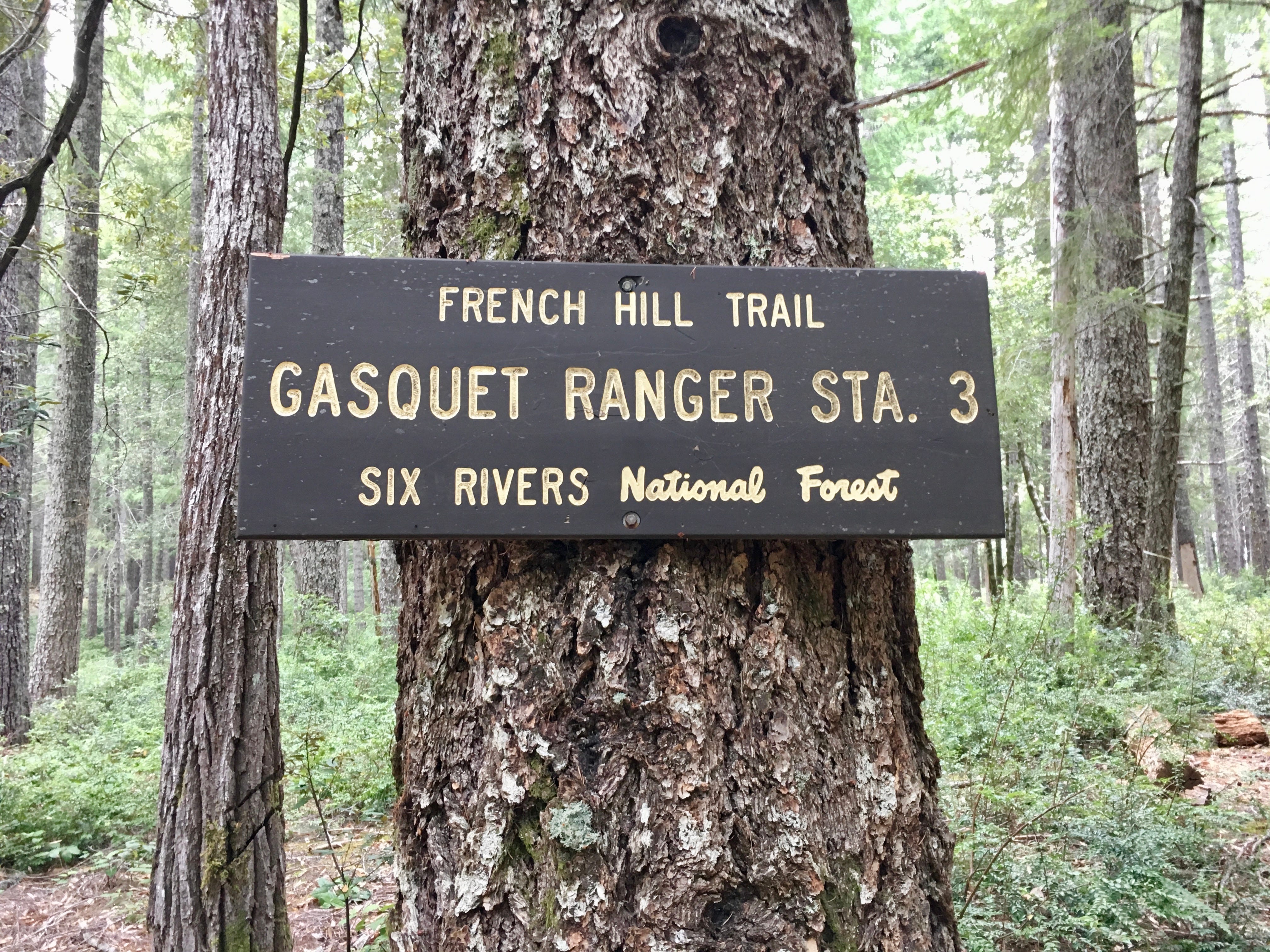 A sign attached to a tree  reading French Hill Trail, Gasquet Ranger Station 3, Six Rivers National Forest