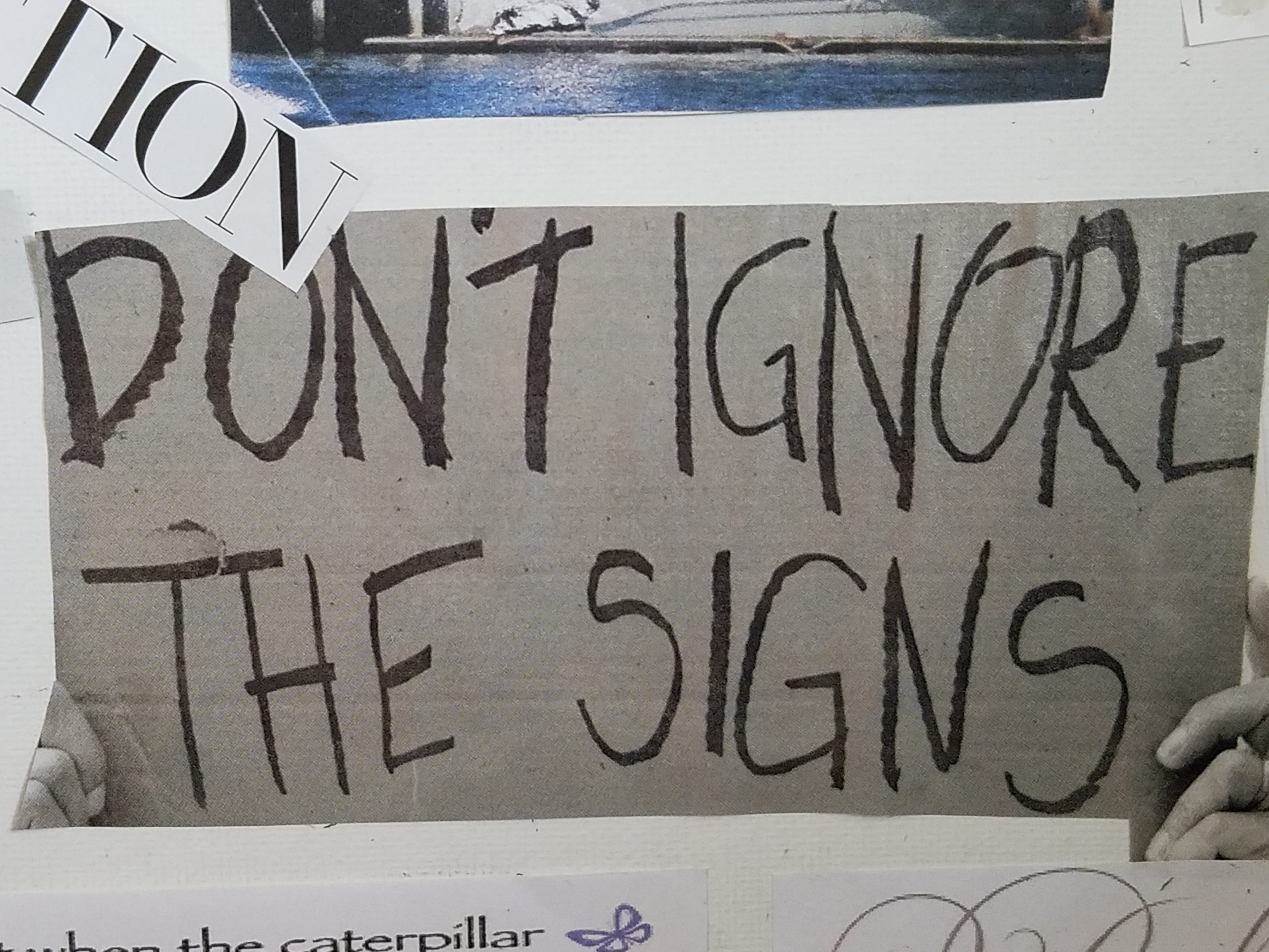 Don'T Ignore These Signs! Your Gray Cat Might Have A Stroke - qdka9jn