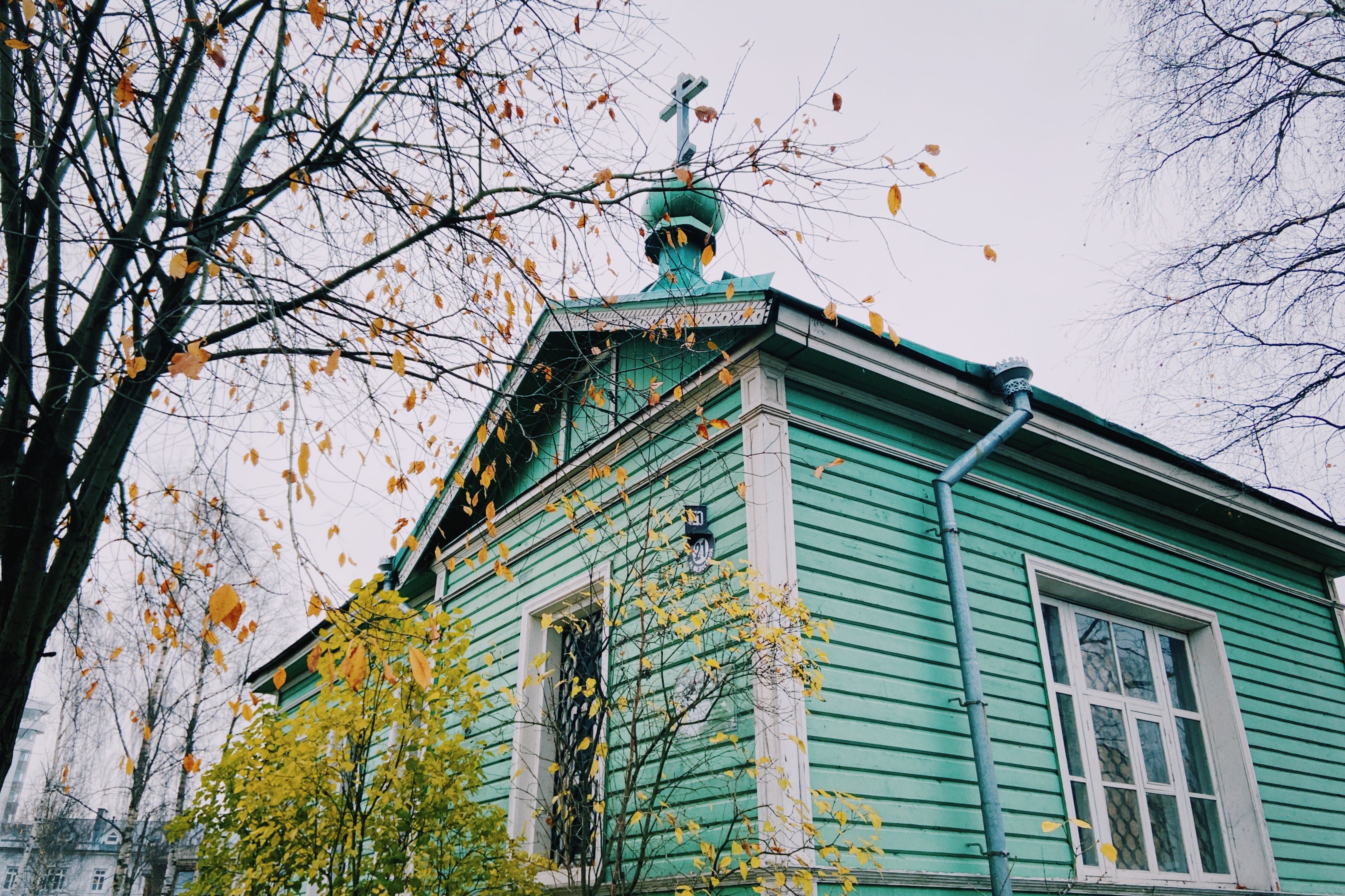 Петрозаводск: shelf_days — LiveJournal
