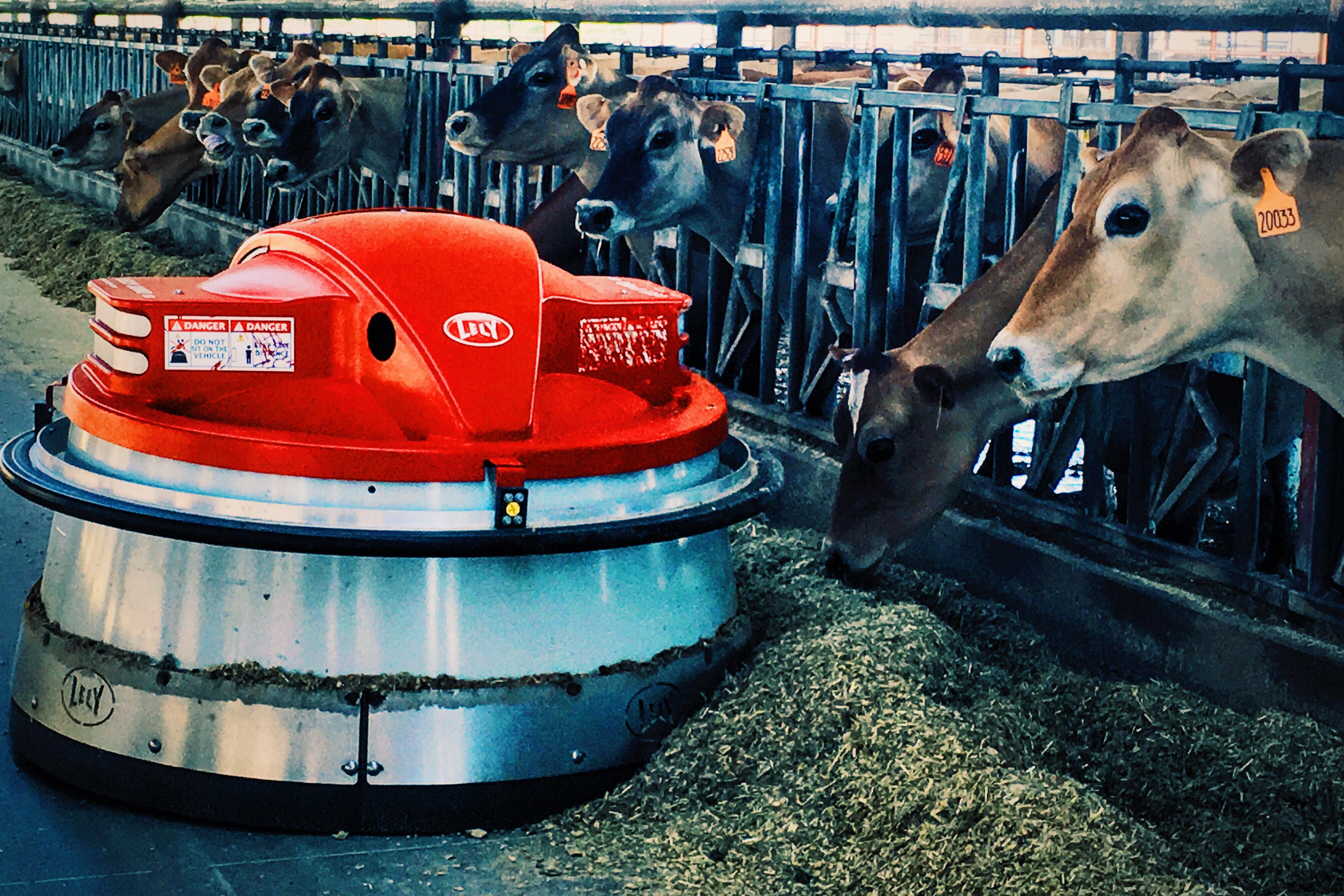 Technology and the Future of the Dairy Farm by Megan Groves Age of Awareness Medium