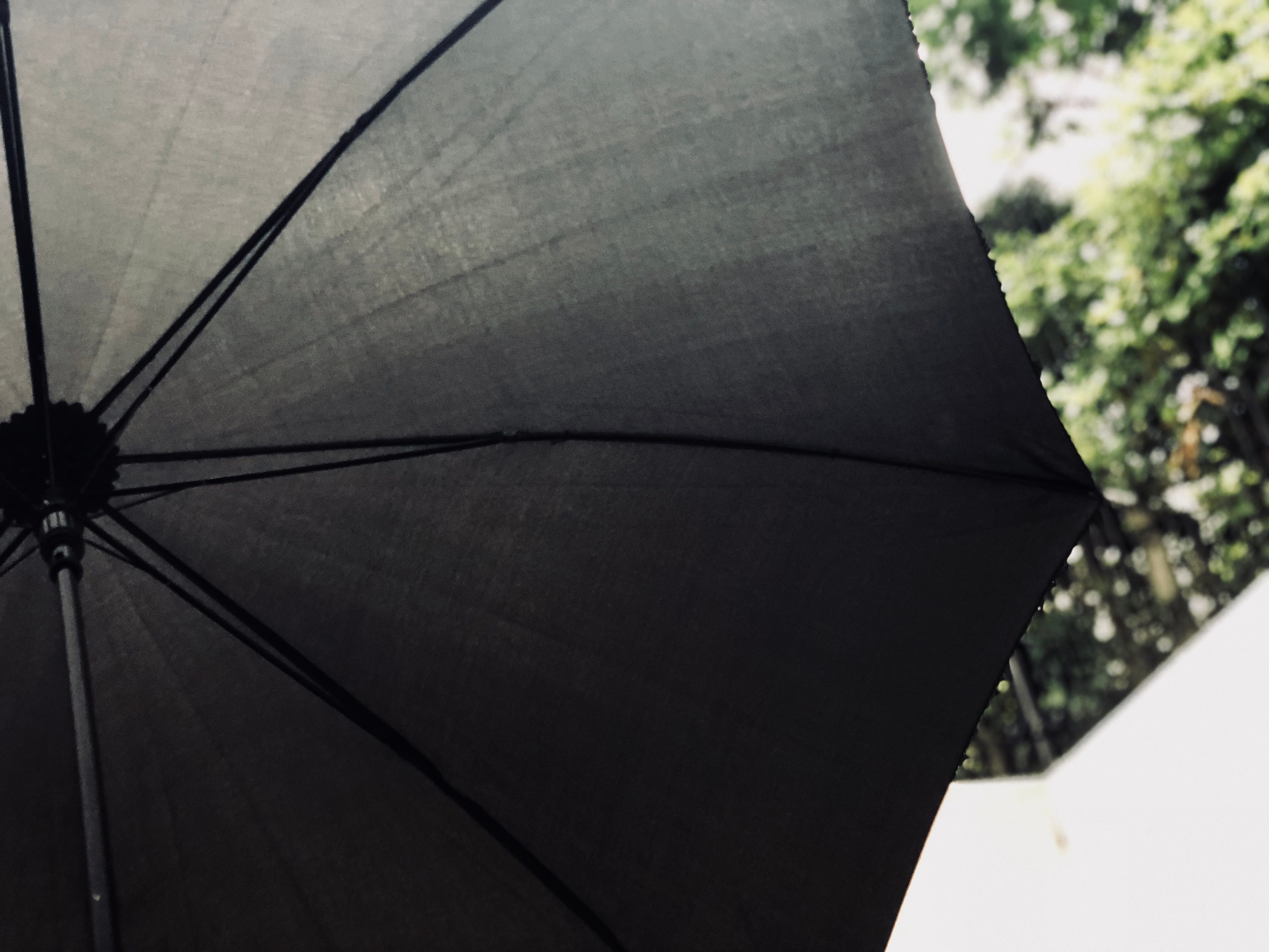 黒い傘 The Black Umbrella By Sakiko Yazawa Exploring The Power Of Place Medium 黒い傘 The Black Umbrella By Sakiko Yazawa Exploring The Power Of Place Medium