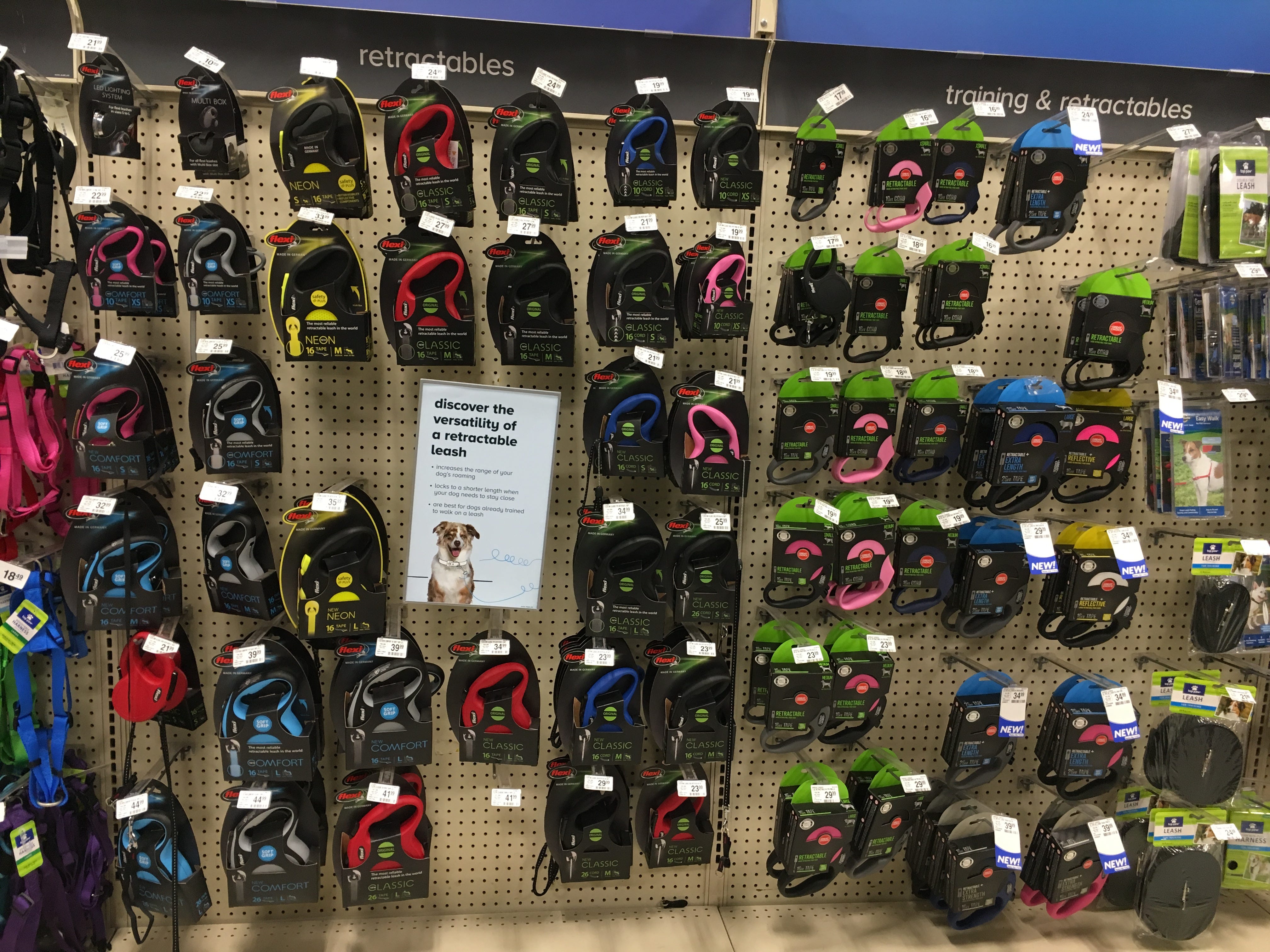 retractable leash petsmart