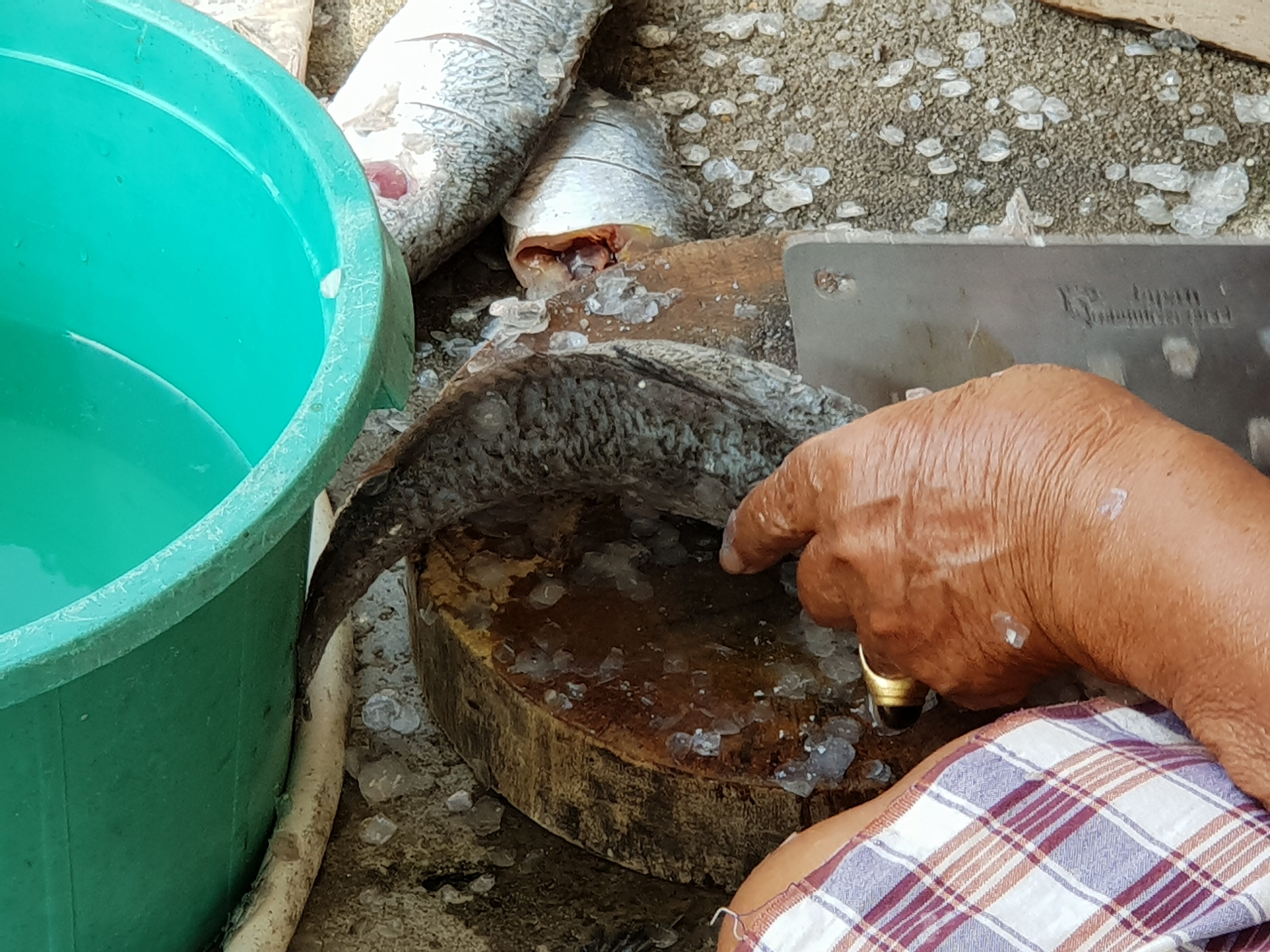 Where do fish come from?. He had scales. His hands were big… by saraBarrento AQUATED Medium