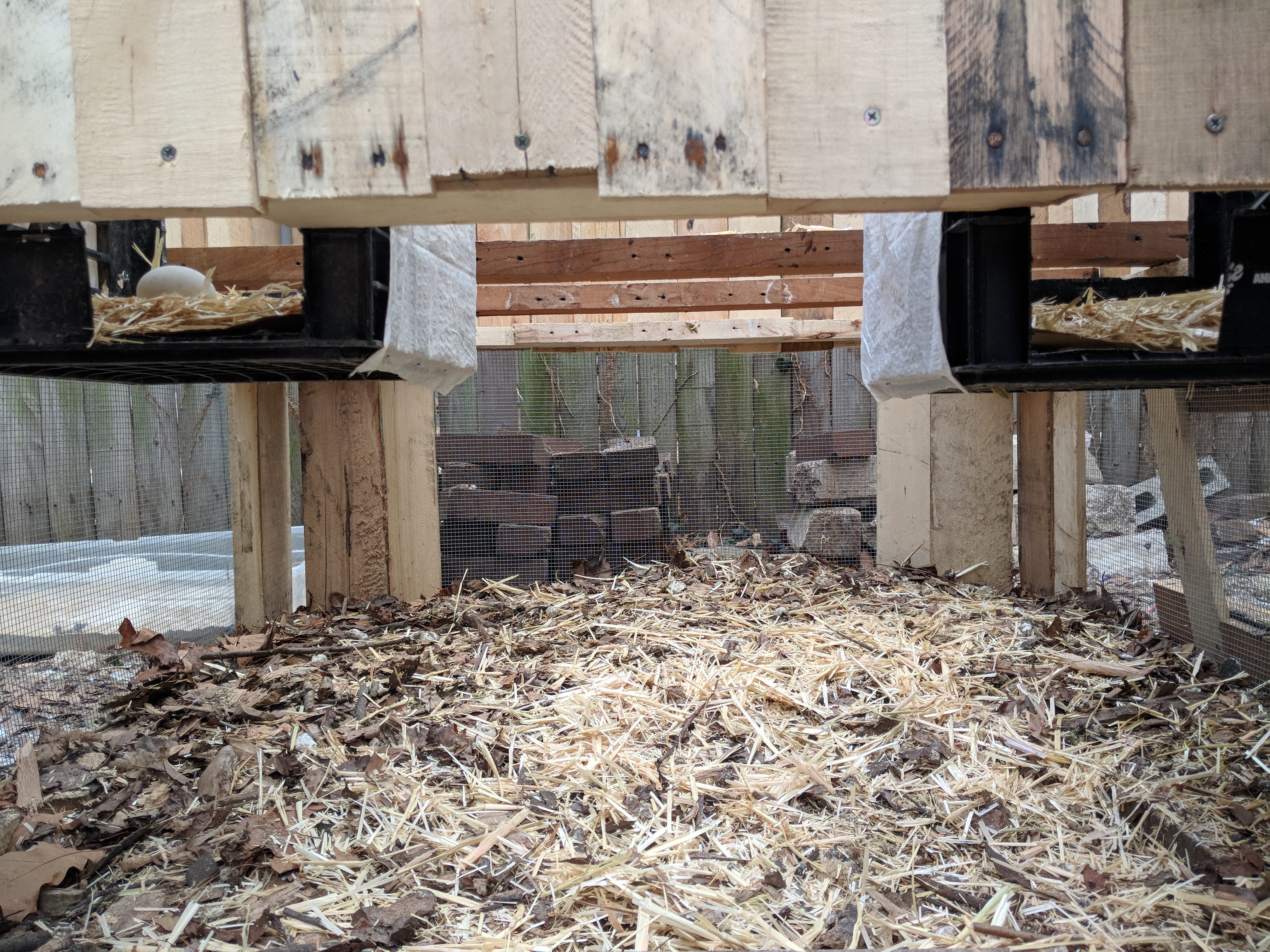 Our Easy To Clean Chicken Coops Have A Special Roof Vent And Ground Level Screens That Provide Th Building A Chicken Coop Best Chicken Coop Cute Chicken Coops