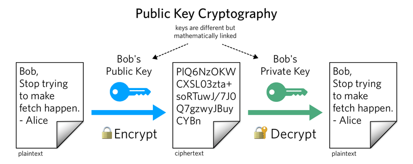 Build Rsa Asymmetric Cryptography Generator Go Better Programming