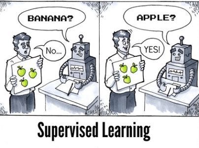 supervised learning real life example