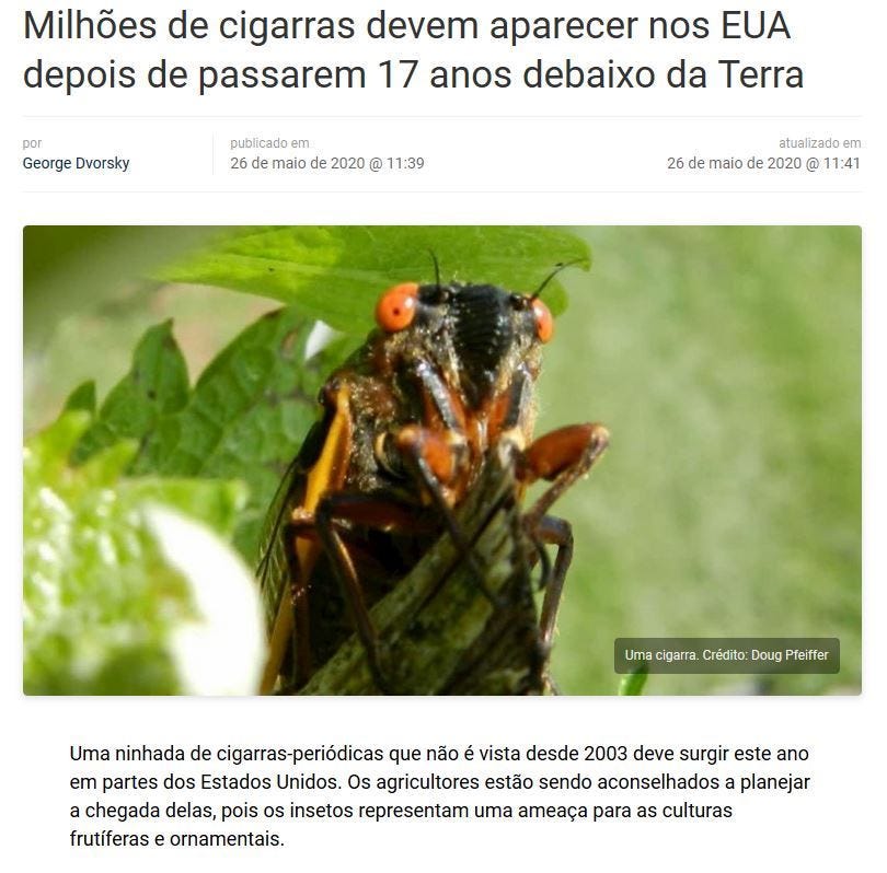 Cigarras E Numeros Primos O Que O Ciclo De Vida De Cigarras By Arnaldo Gunzi Medium