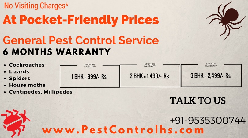 General Pest Control No Visiting Charges Call Us 9535300744 By Bangalore Pest Control Medium