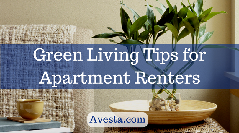 Green Living Tips for Apartment Renters | by Avesta | Medium
