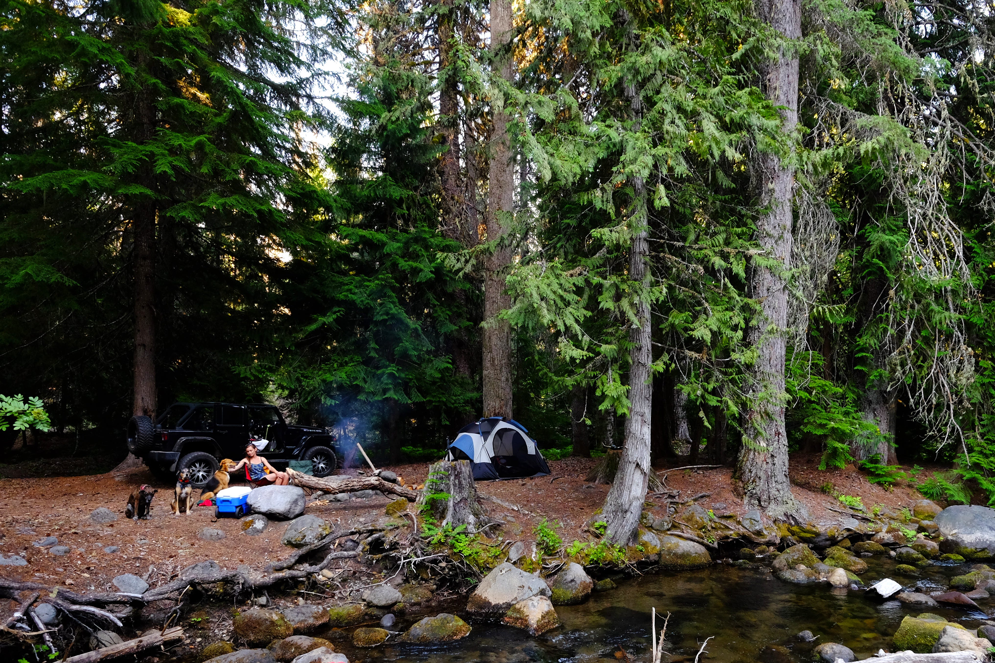 Barlow Creek Inn Quesnel Canada No Roads, No Problems. There’s a whole hidden world on the… | by Chris