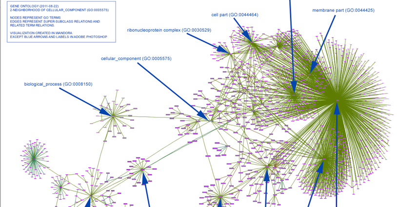 2018: The Year of Enterprise Knowledge Graphs | by Dan McCreary | Medium