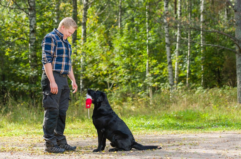 How to Find A Good Dog Trainer. Finding A Good Dog Trainer by