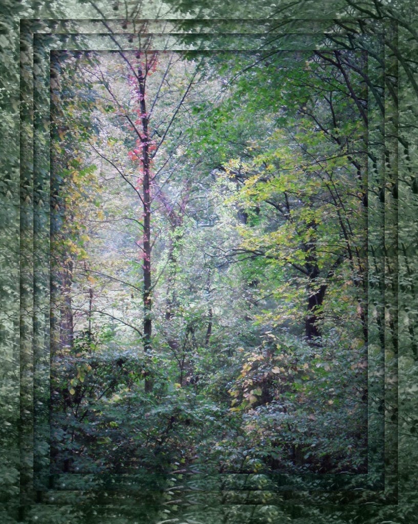 There is Joy After Sorrow. When you set down your heavy load… by Lori