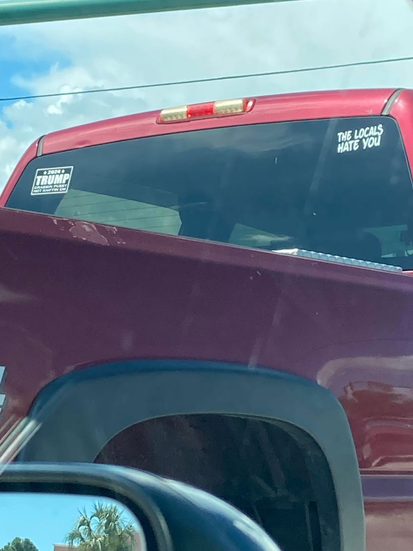 This Year’s US Election Would Have Put Me Over the Edge by Elizabeth Silleck La Rue Nov