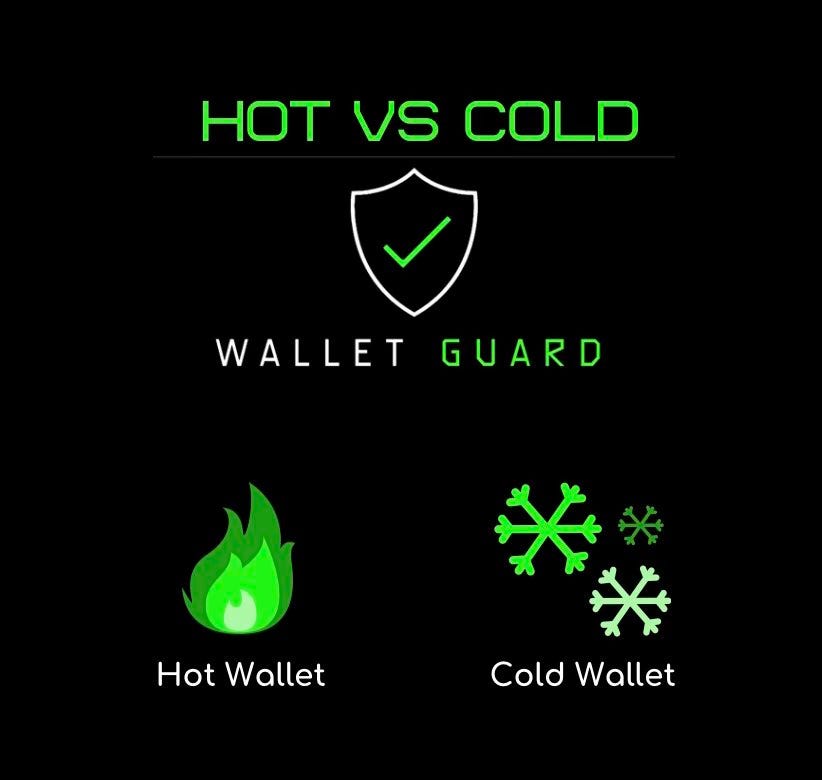 🔥 Hot & ️ Cold Crypto Wallets Usecases Explained by Wallet Guard