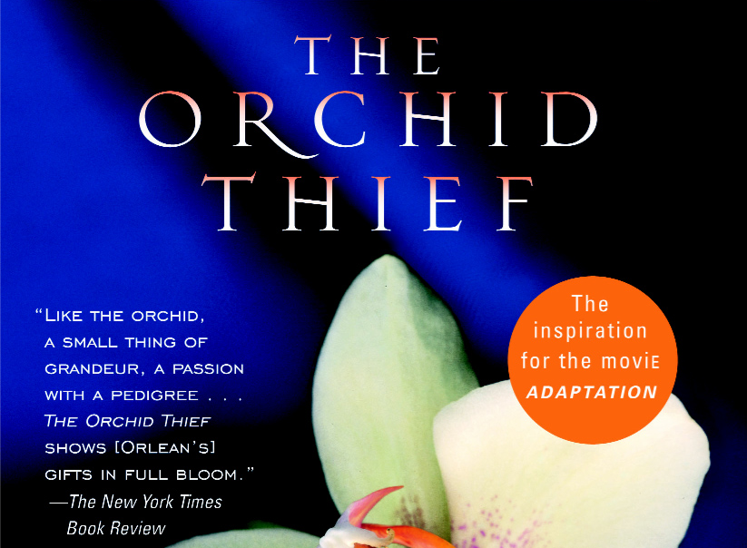 Review Beautiful Vibrant And Mysterious The Orchid Thief By Susan Orlean By Tanika Thacker Medium