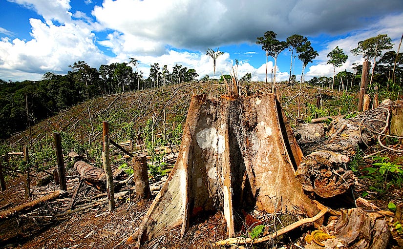Deforestation in Brazil affects rainfall by Willem Van Cotthem