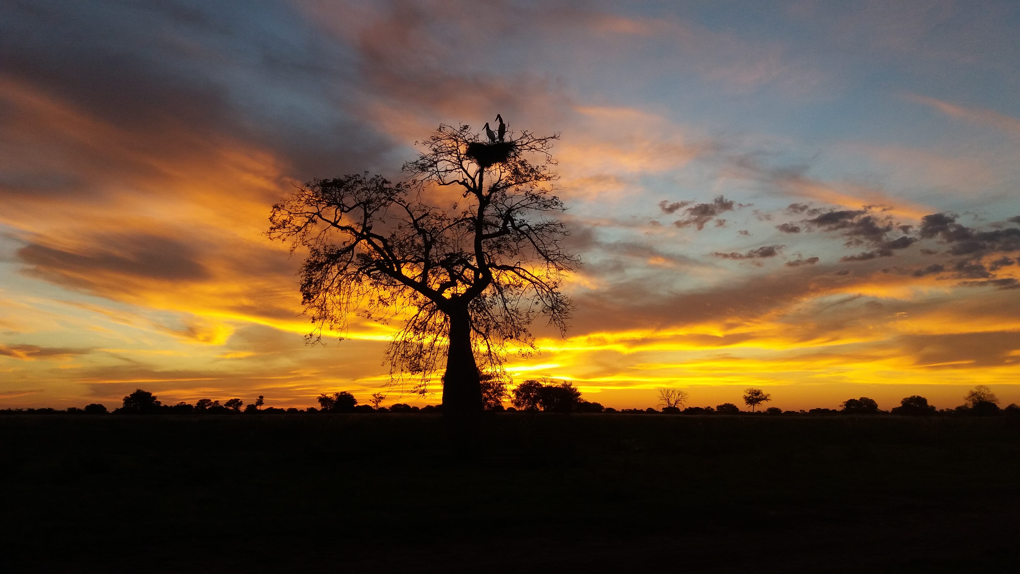 Fotos De Artardecer